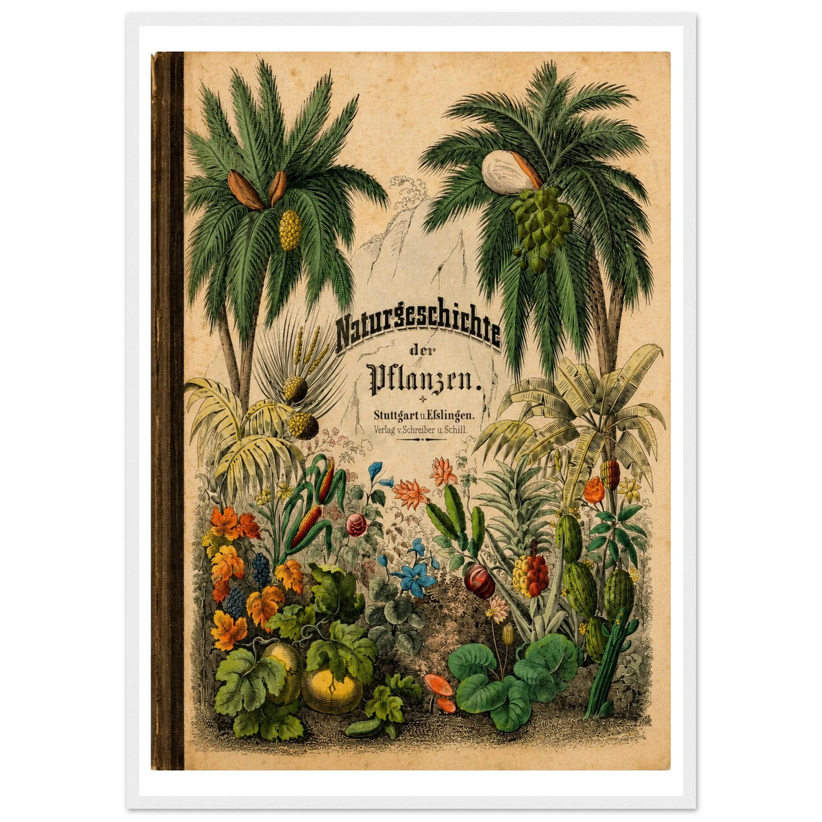 b668db02-da18-4e50-b86e-ddf5a919da84
