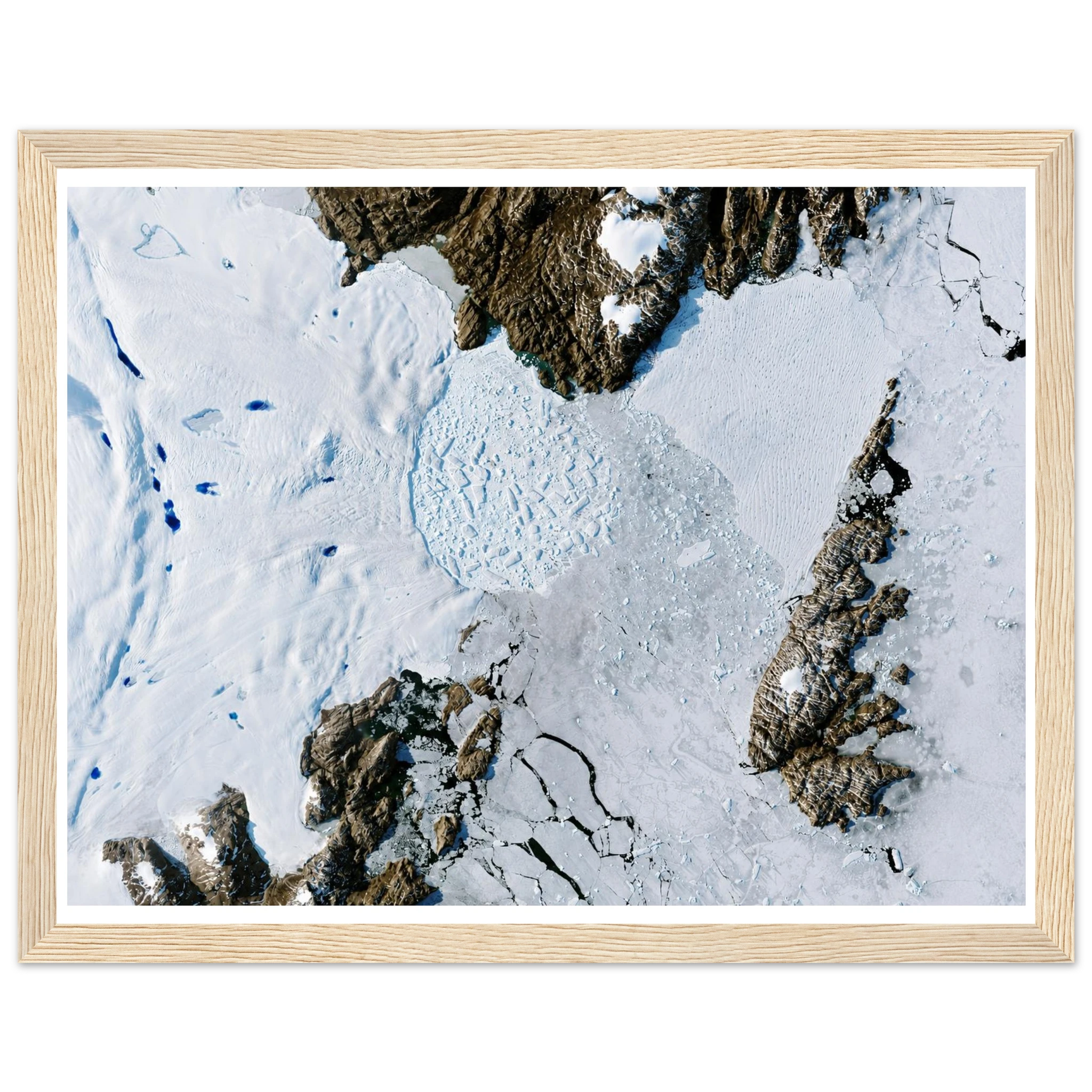 b6ec3389-f0e6-419a-b237-5e608f517624