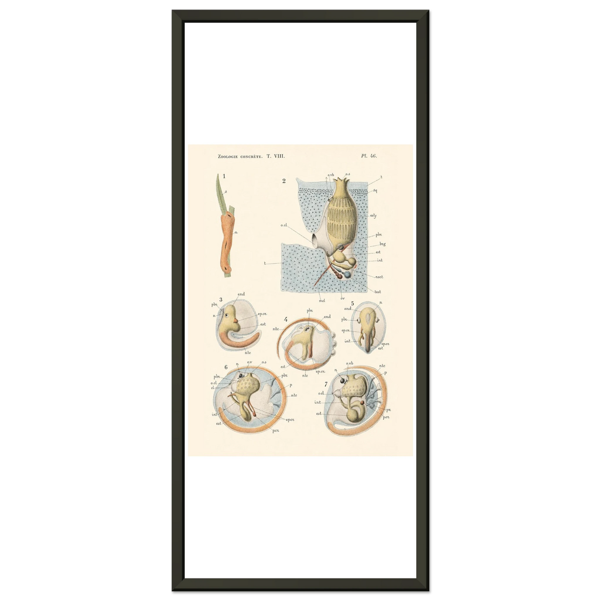 b7093c48-c93f-496d-8b1c-fcaa13dfdfb1