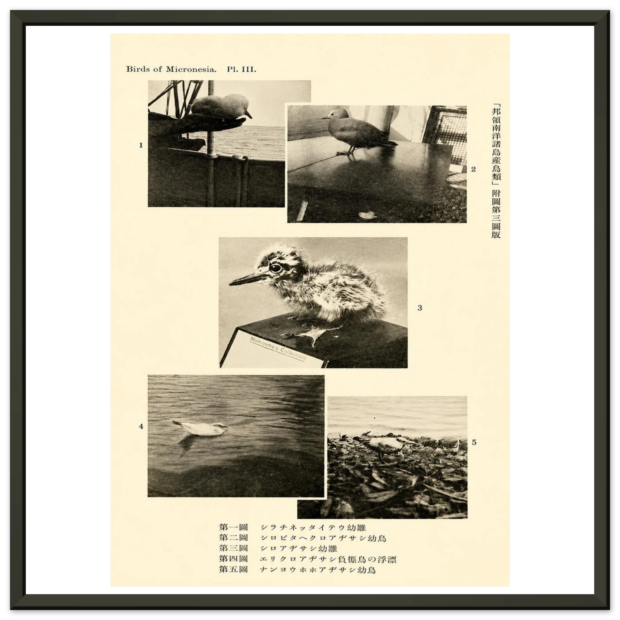 b86b7bca-06b5-43f9-b233-389428e09ee6