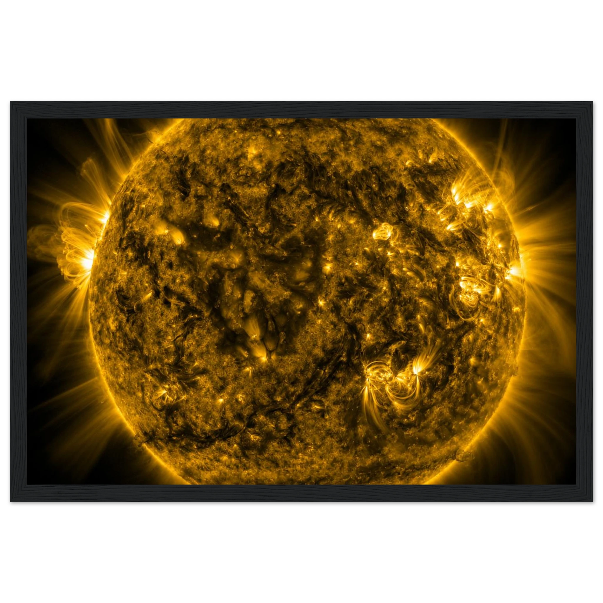 b86d31d6-5ec6-4368-918b-ea11dd2740d1