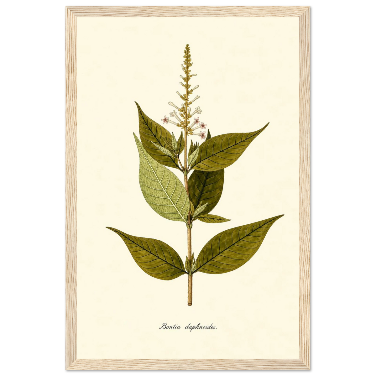 b88af3b6-b5e7-4bcd-9857-38eef7b52643
