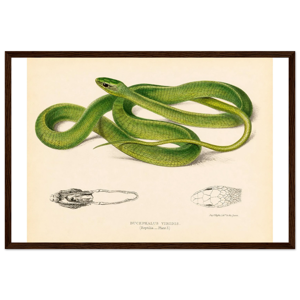 b8b757b0-0b40-46d6-b7a9-1ab195a086e4