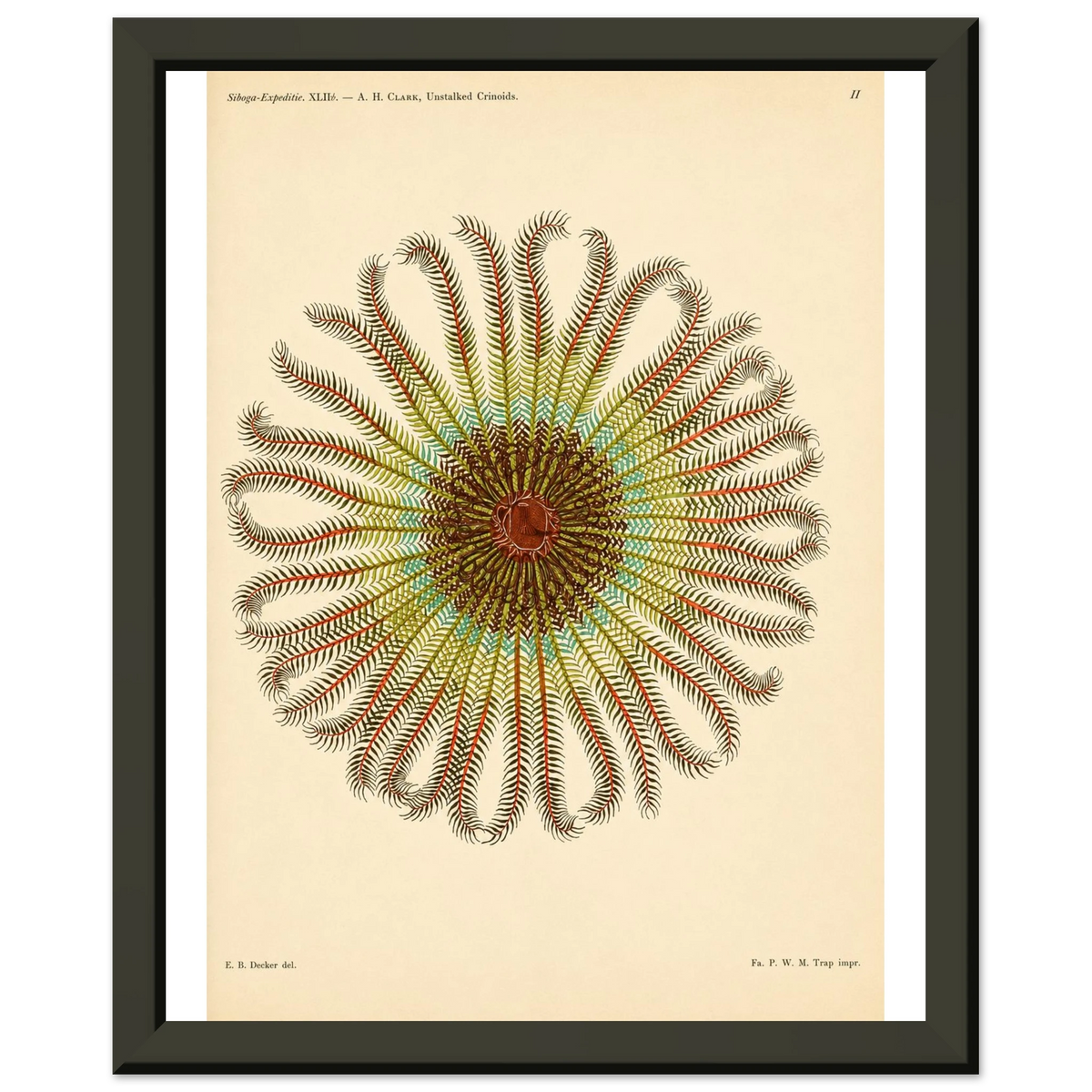 b95e4a5c-0e81-46fb-bf0e-da1fdbc62c22