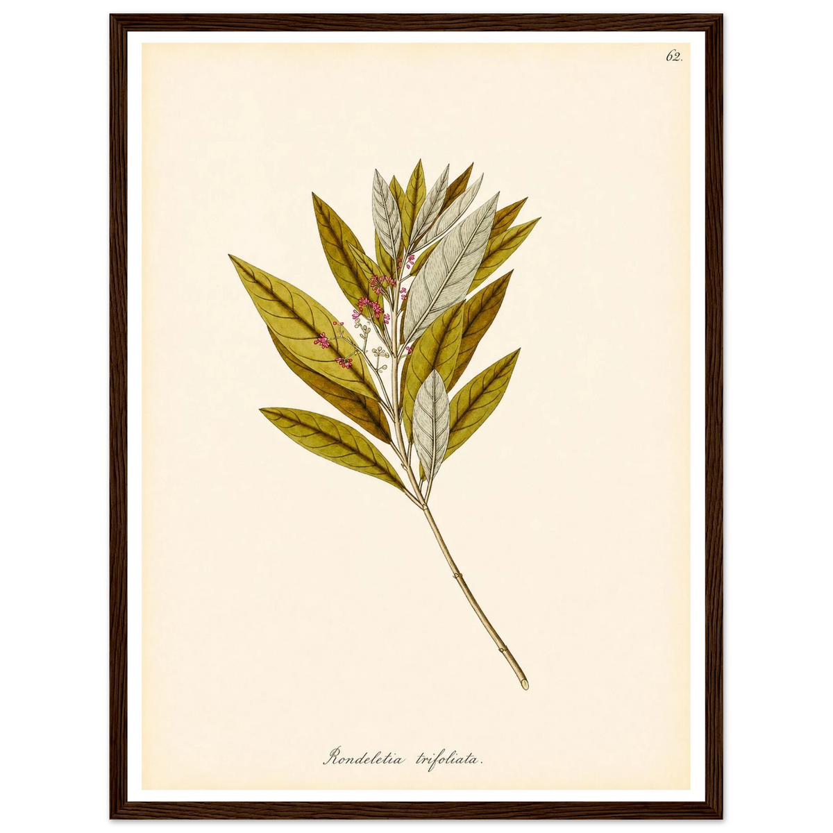 b99fdc59-ce8a-4c18-8683-bdd0b4837e5c