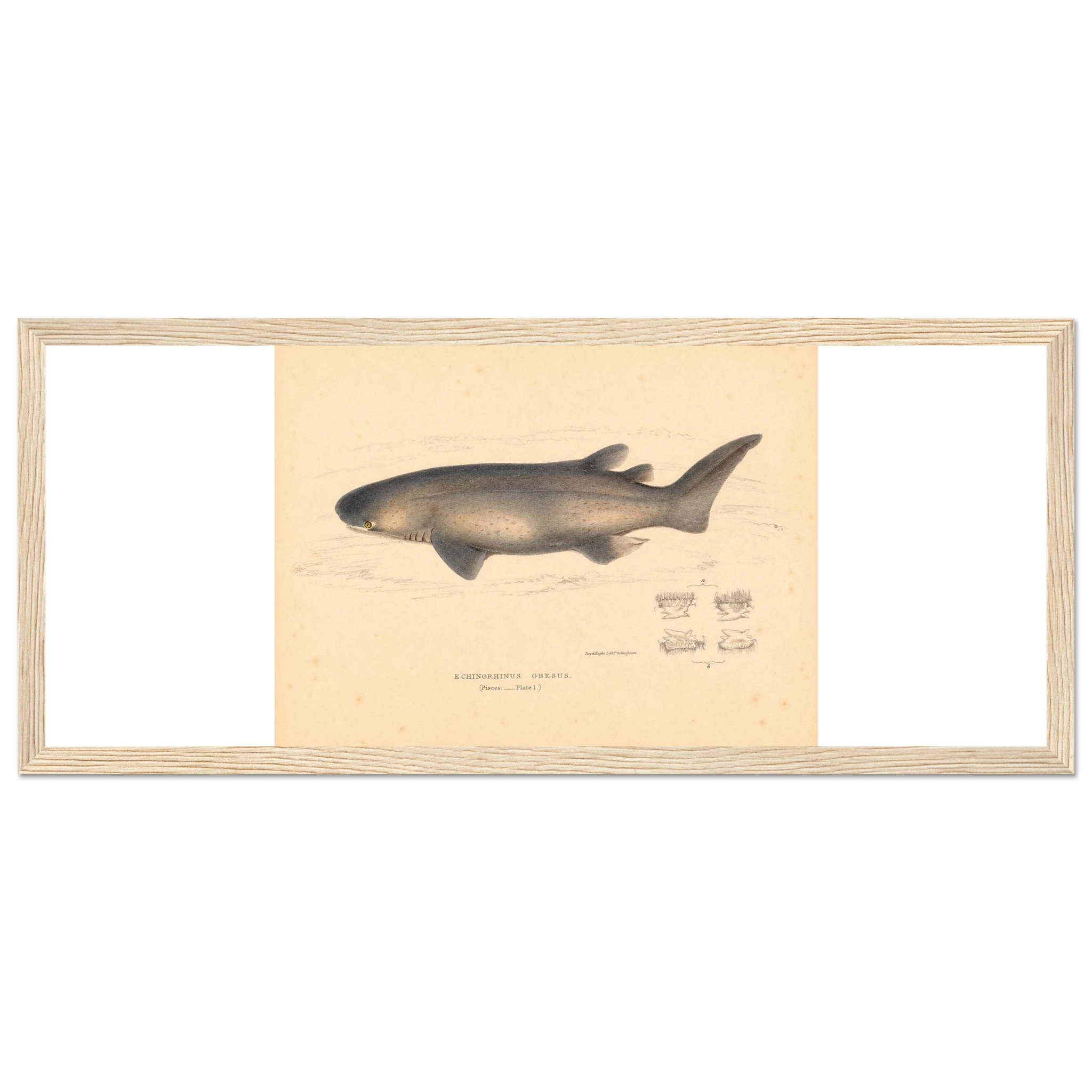b9bd765c-25fc-4d4f-b913-b9404cd1043a