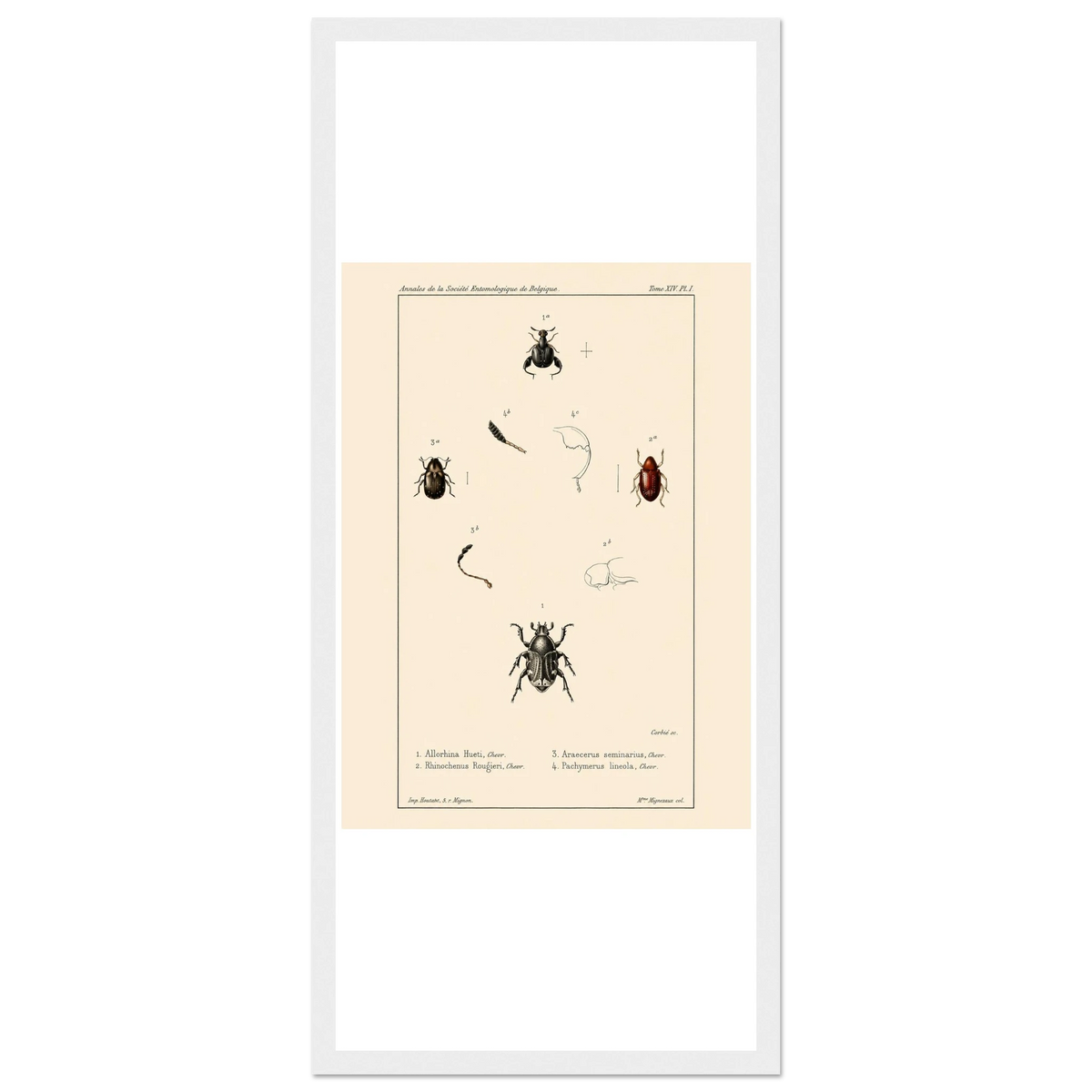 b9bebd79-45bc-45da-a2a7-dfad2c89065d