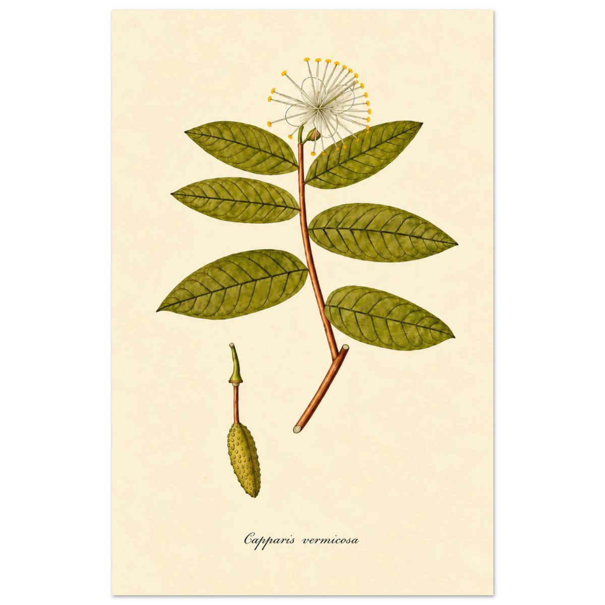b9e1e0dc-b89c-471c-b95e-dbf8d2cc4e1e
