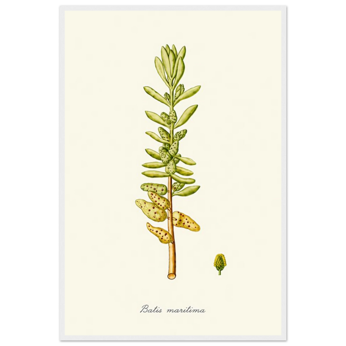 ba271e27-e58c-4c6e-9544-8cdfda5001da