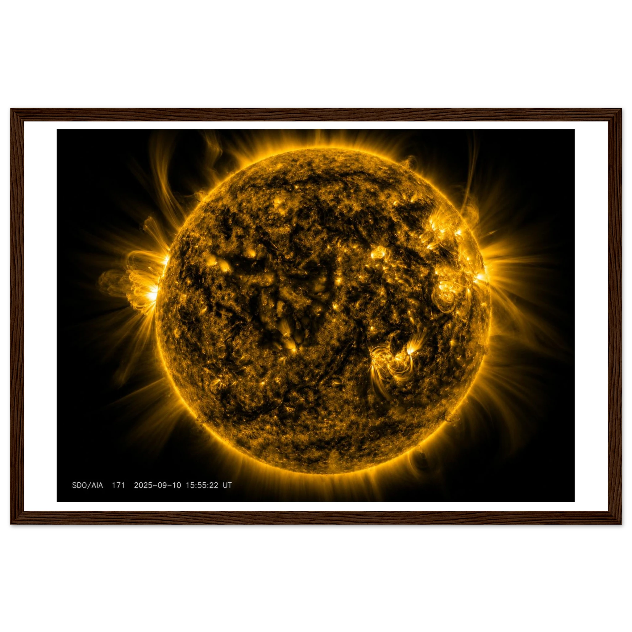 ba6eb6f1-7fd4-4124-9fab-a1dc1dbca304