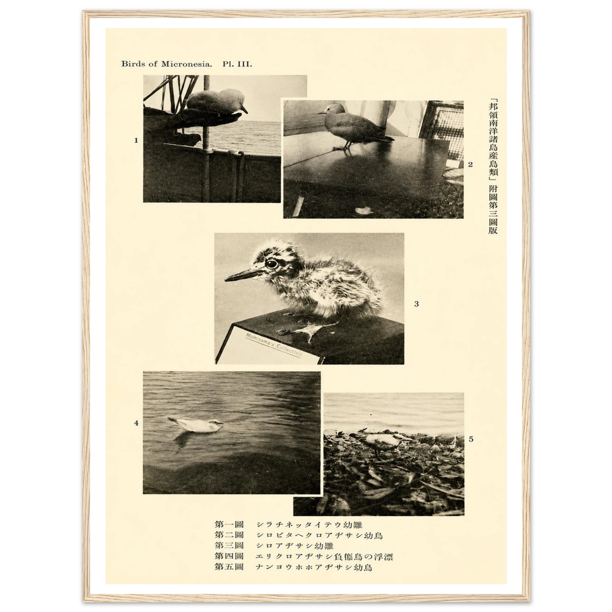 babfaf1c-1347-4a8b-80b1-0245008843b7