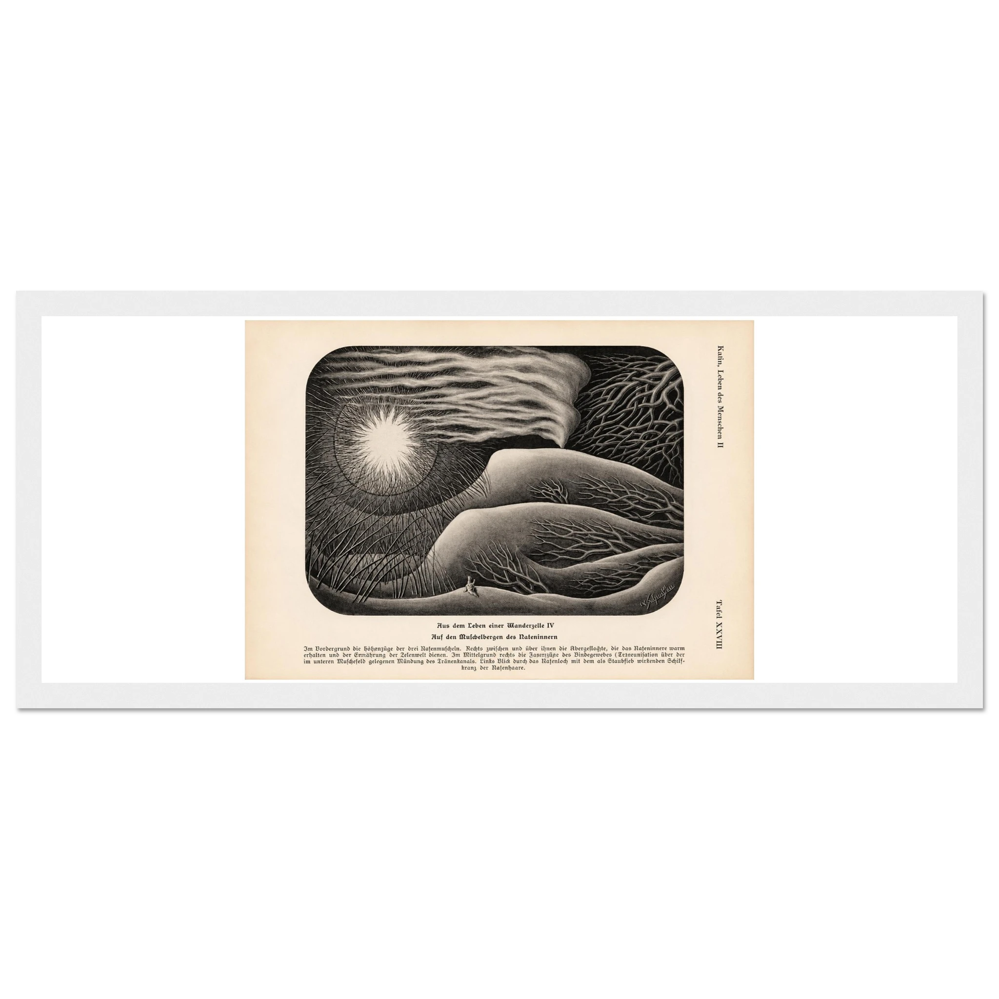 bacf8145-ca6a-4392-984f-86775bf165a7