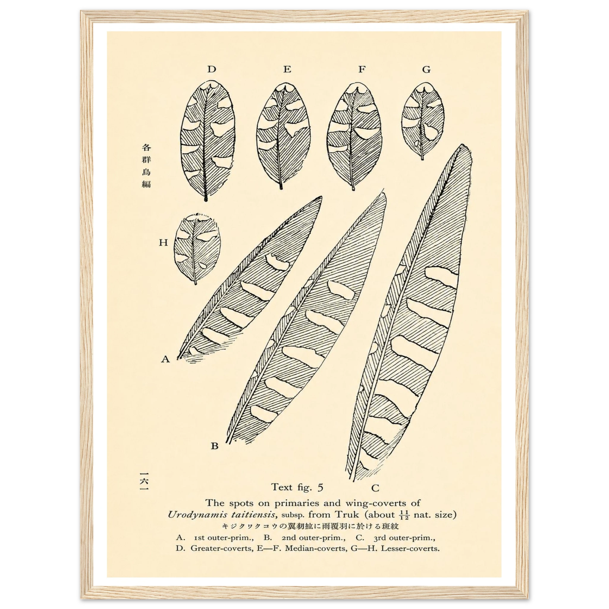 bad284da-230e-49a6-815b-5bfa7f1db30a