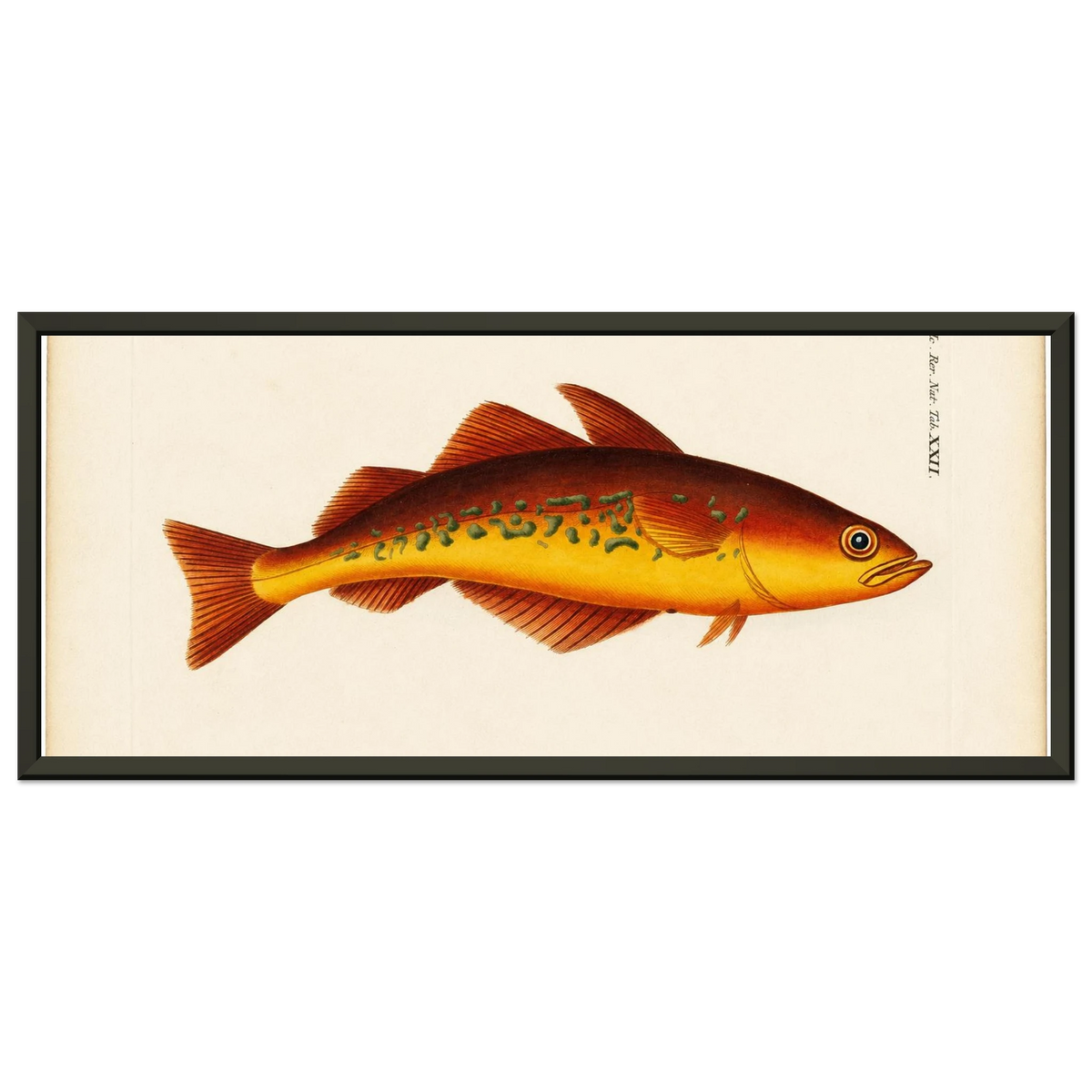 badcdce4-f102-4d4e-8dfc-6449eb6d22f4