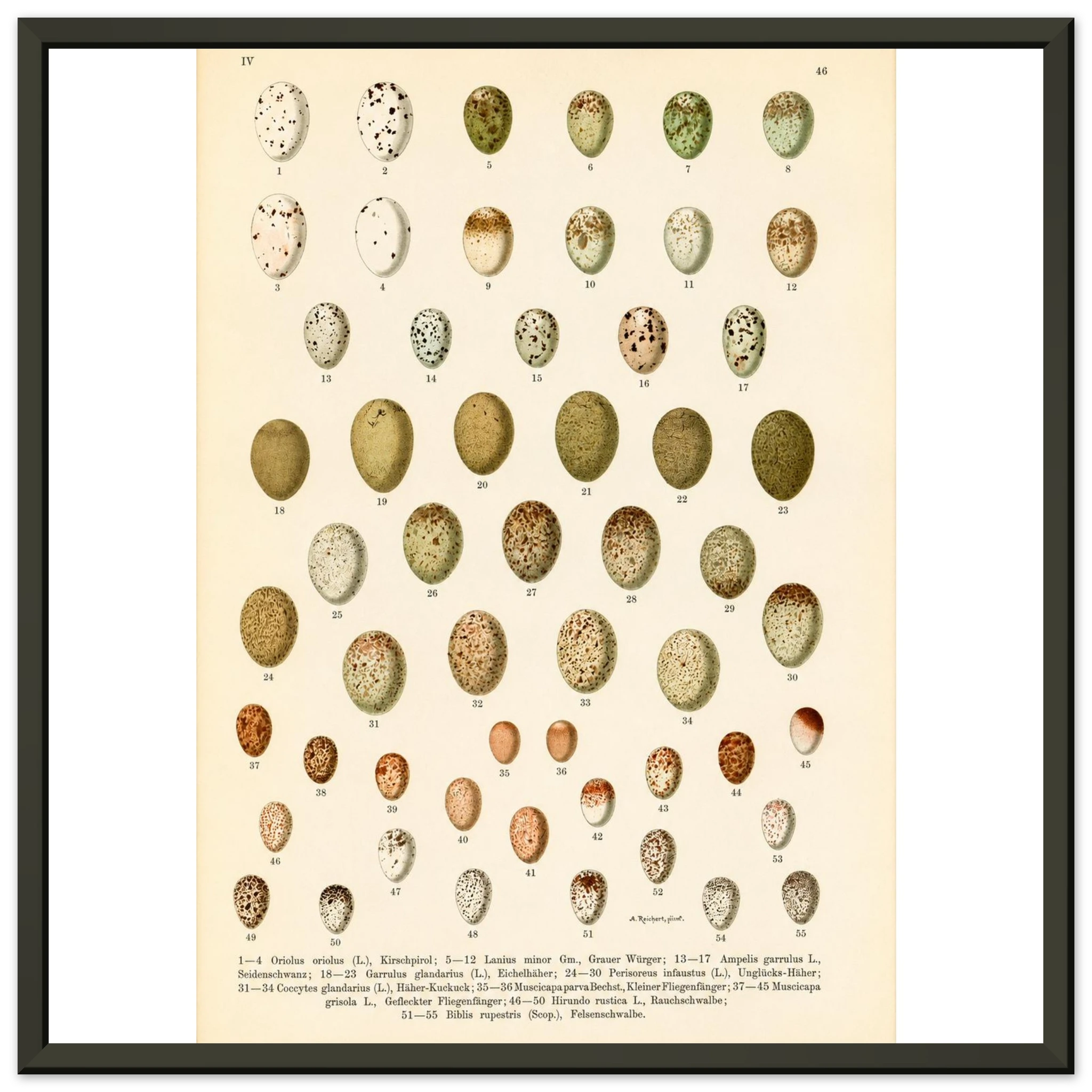 bb264f19-85ed-41a4-b941-44c1e9bdb4f6