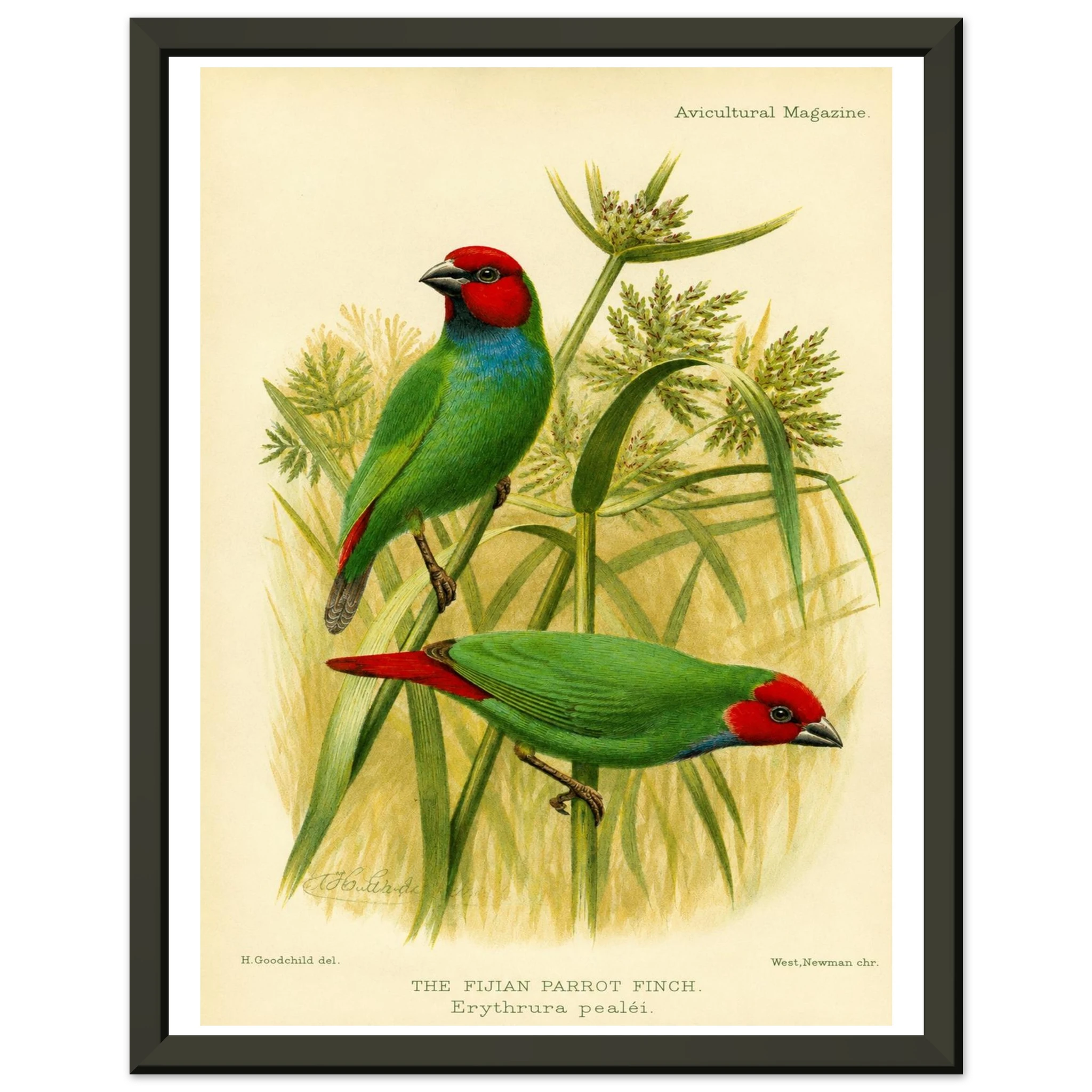 bb35bb73-6c10-4754-b5ad-579ae568cd67