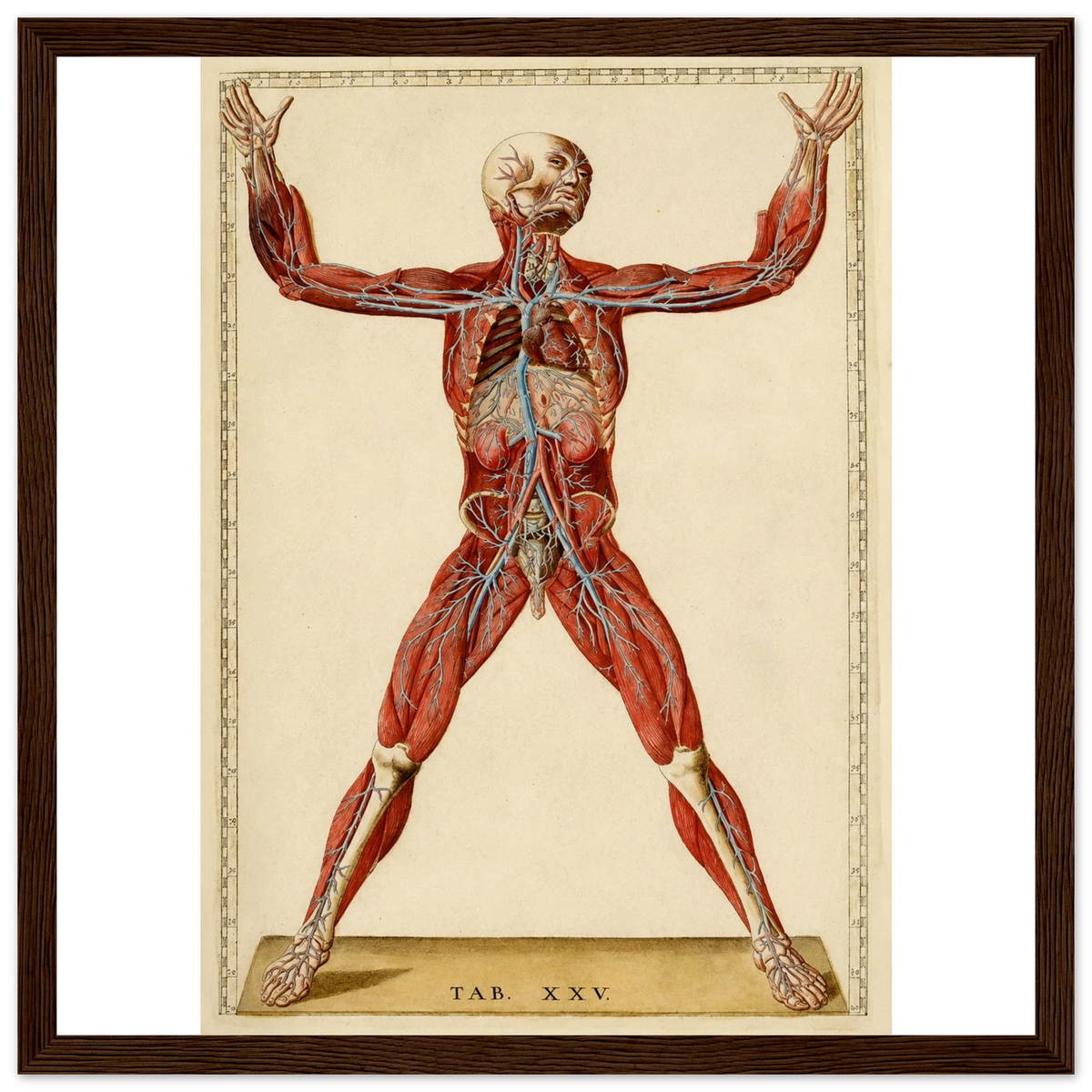 bbf3ac53-1fff-4c6d-b555-1318c252a39c