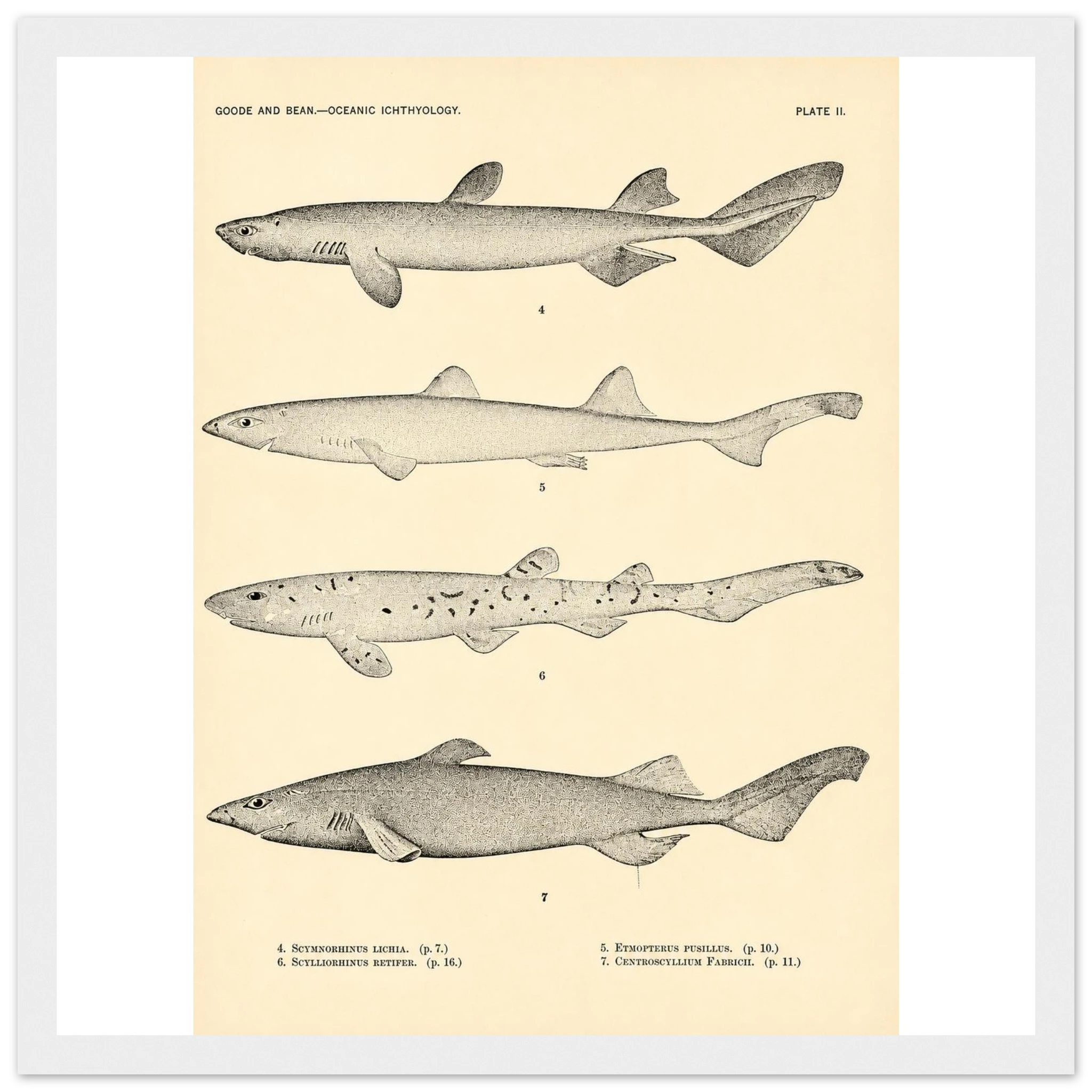 bbf9390b-886f-4ac4-aa9f-f25219fe3e84