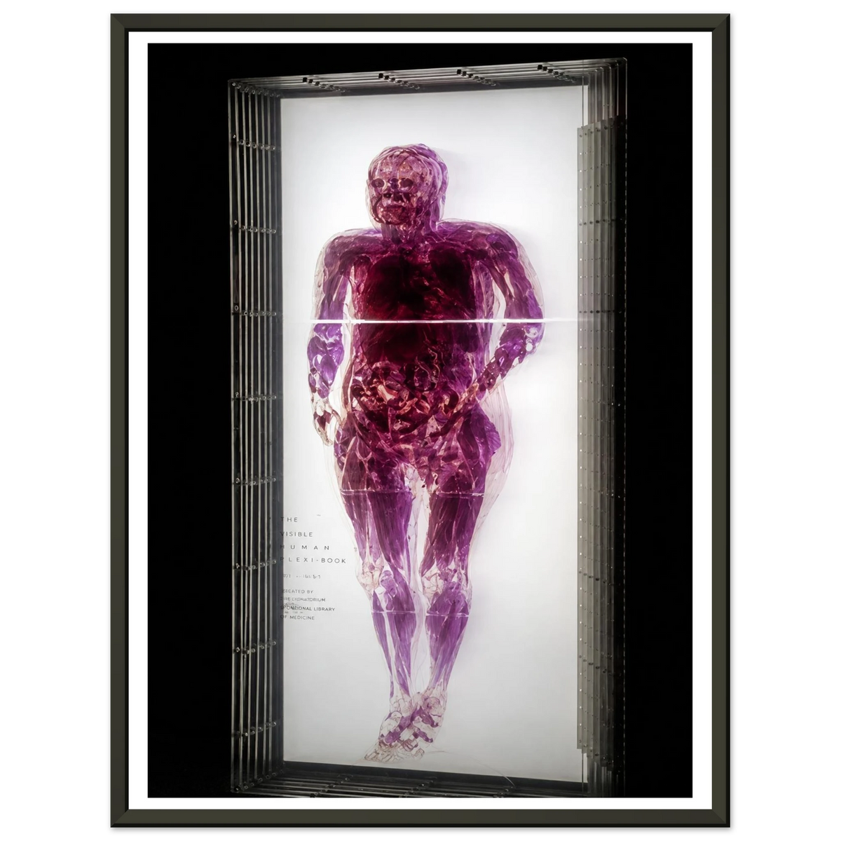 bc1d62d5-56df-4ac5-bb9a-bb4eae07001a
