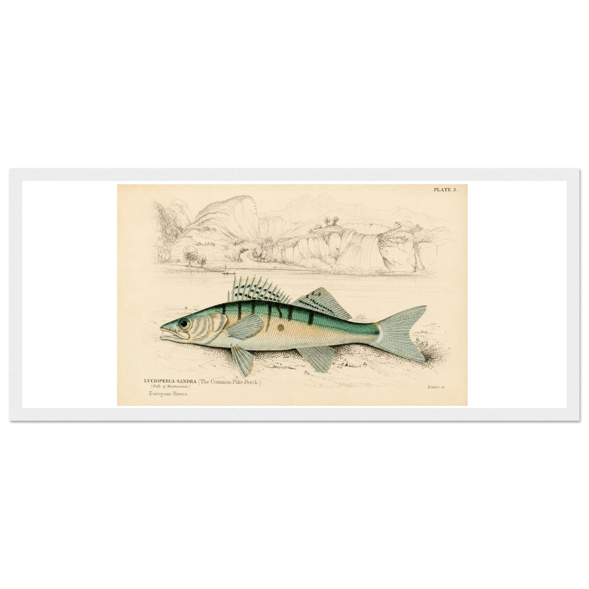bc1f9769-bf04-4b04-a10d-30ccee00d716