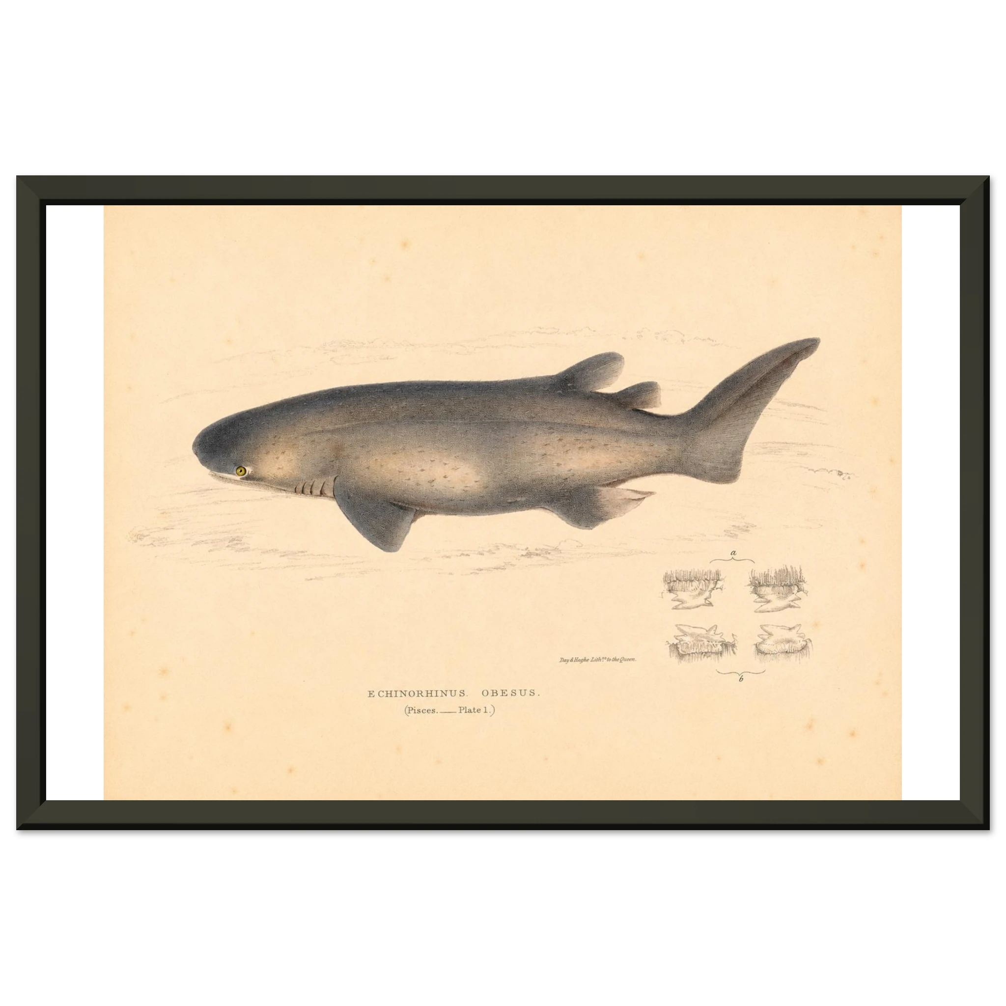 bc3e96ce-0699-42ce-9bcc-0a7277aa9cd0
