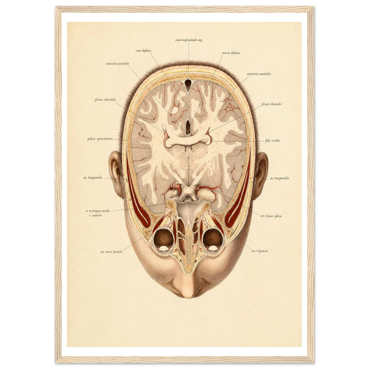 bc3fa1a0-ff4c-42fb-8889-0173038e564f