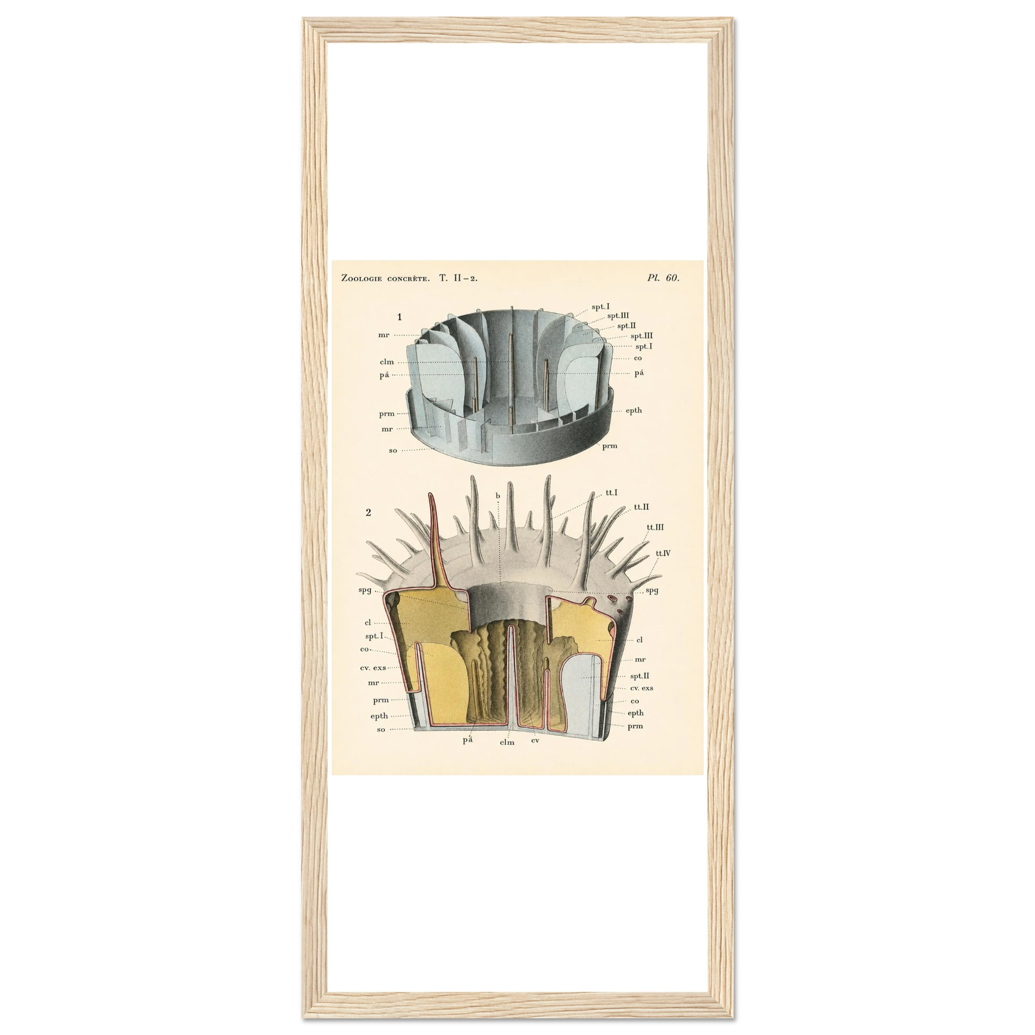 bc46b117-cff3-4786-8cc0-e7899af0dab4