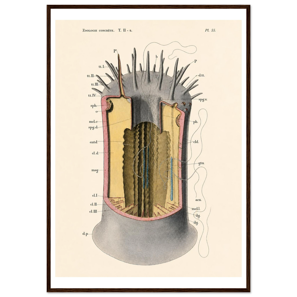 bceb1906-6ee2-4cf4-8dc3-6241309fcc64