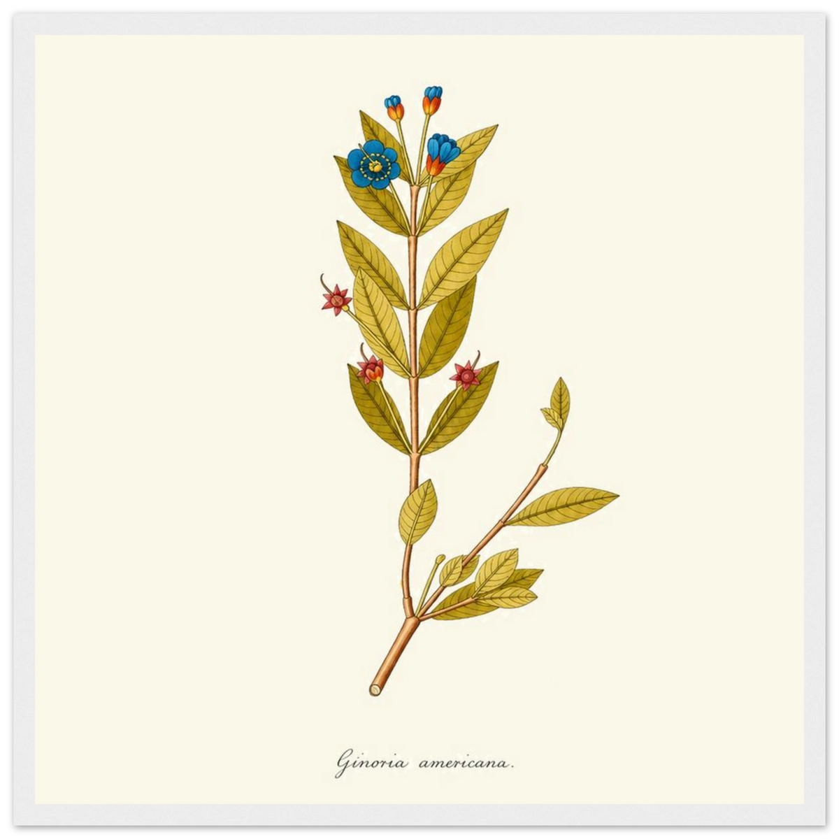 bd18e052-9c25-4abc-8ce4-c8ad99e1d00e