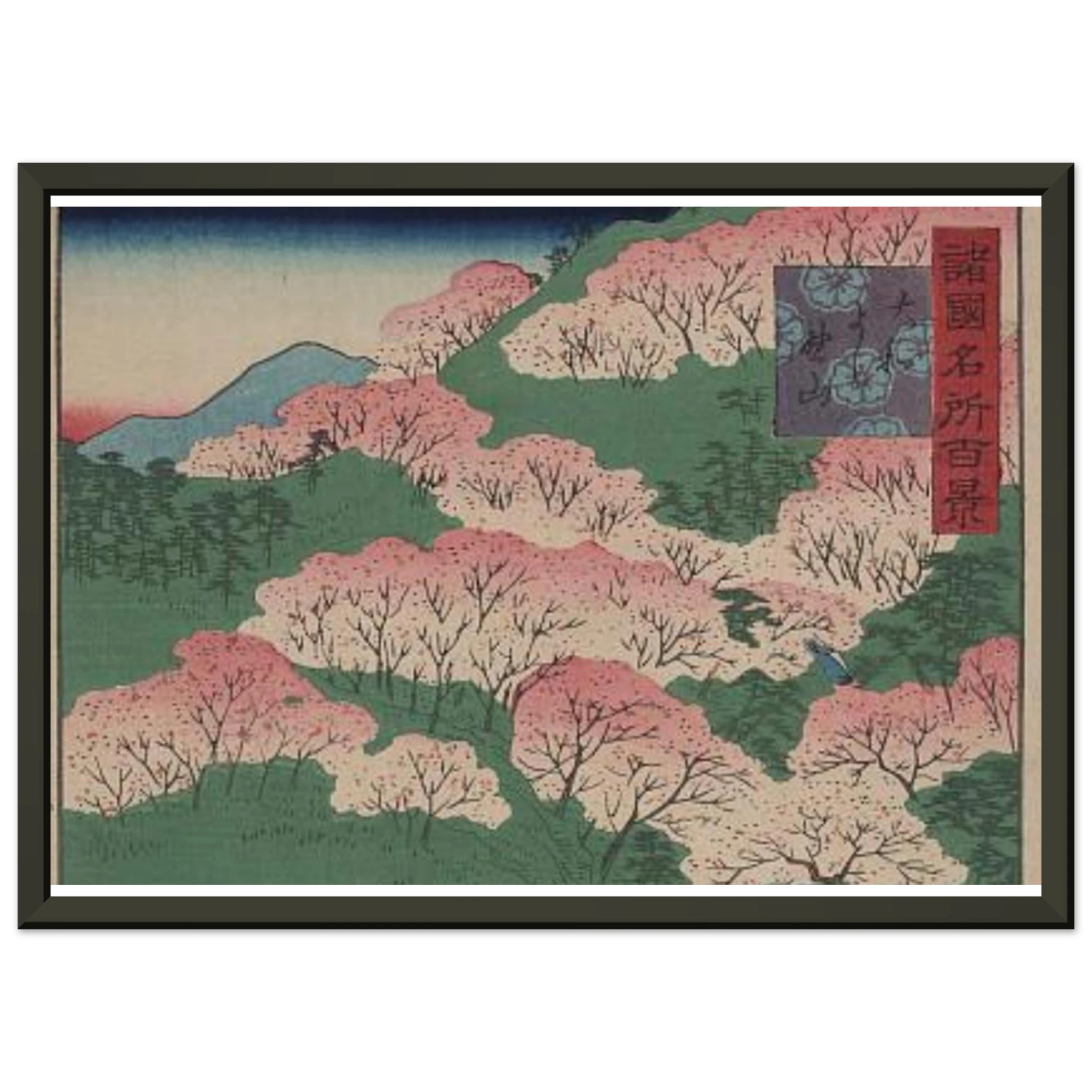 bd2e564f-4570-445d-bf98-57d7941e95b6