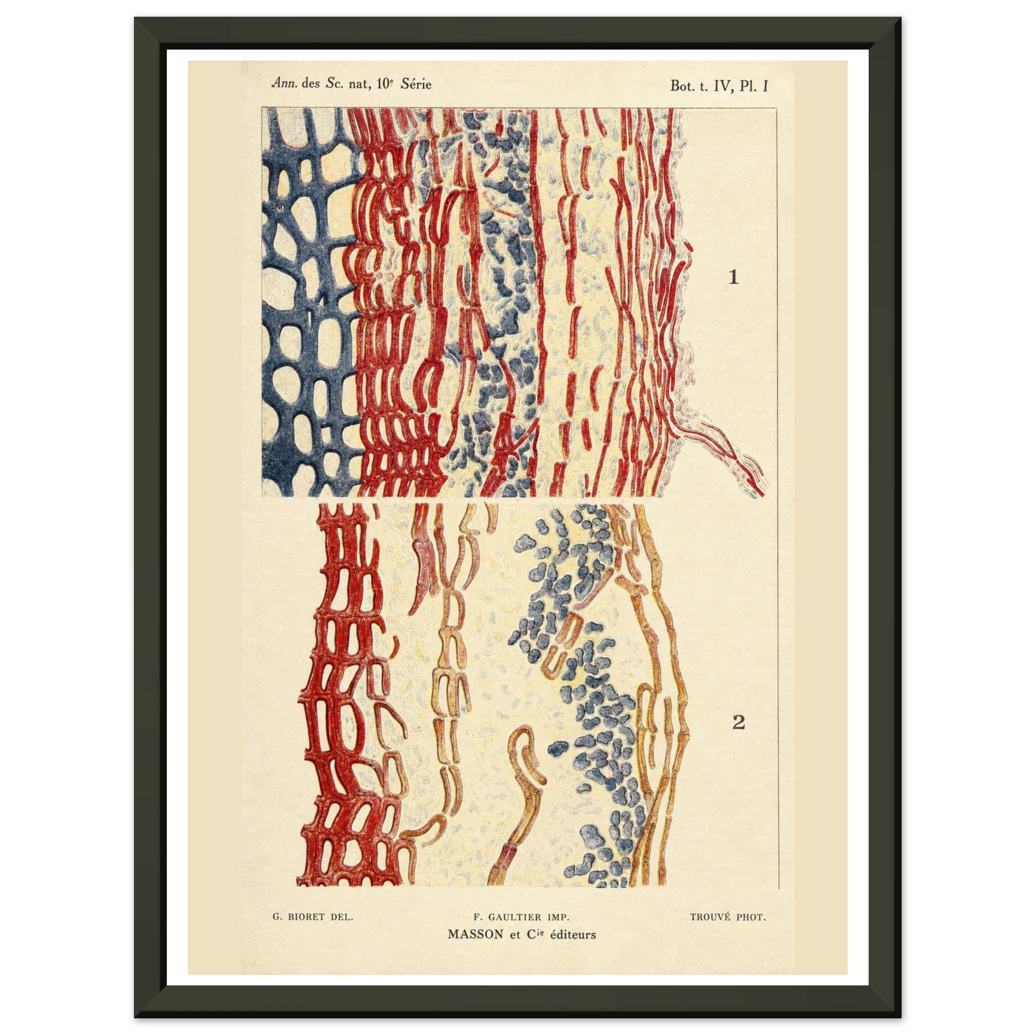 bd66a219-fe16-4ce0-a982-9b5e921247dc