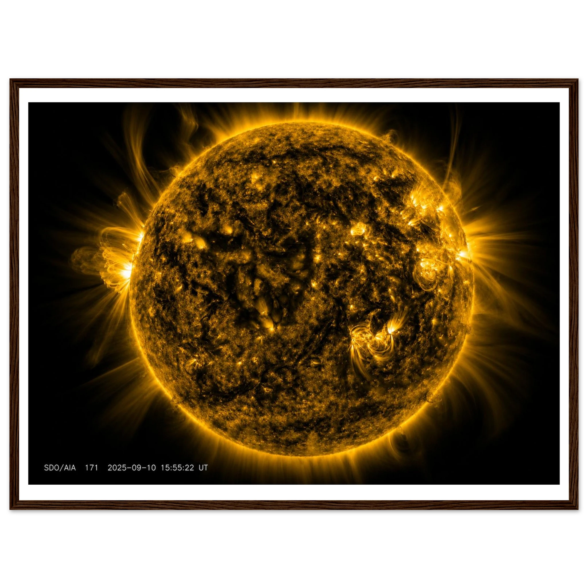 bd7e30af-8024-4f31-abf1-08bce20927ea