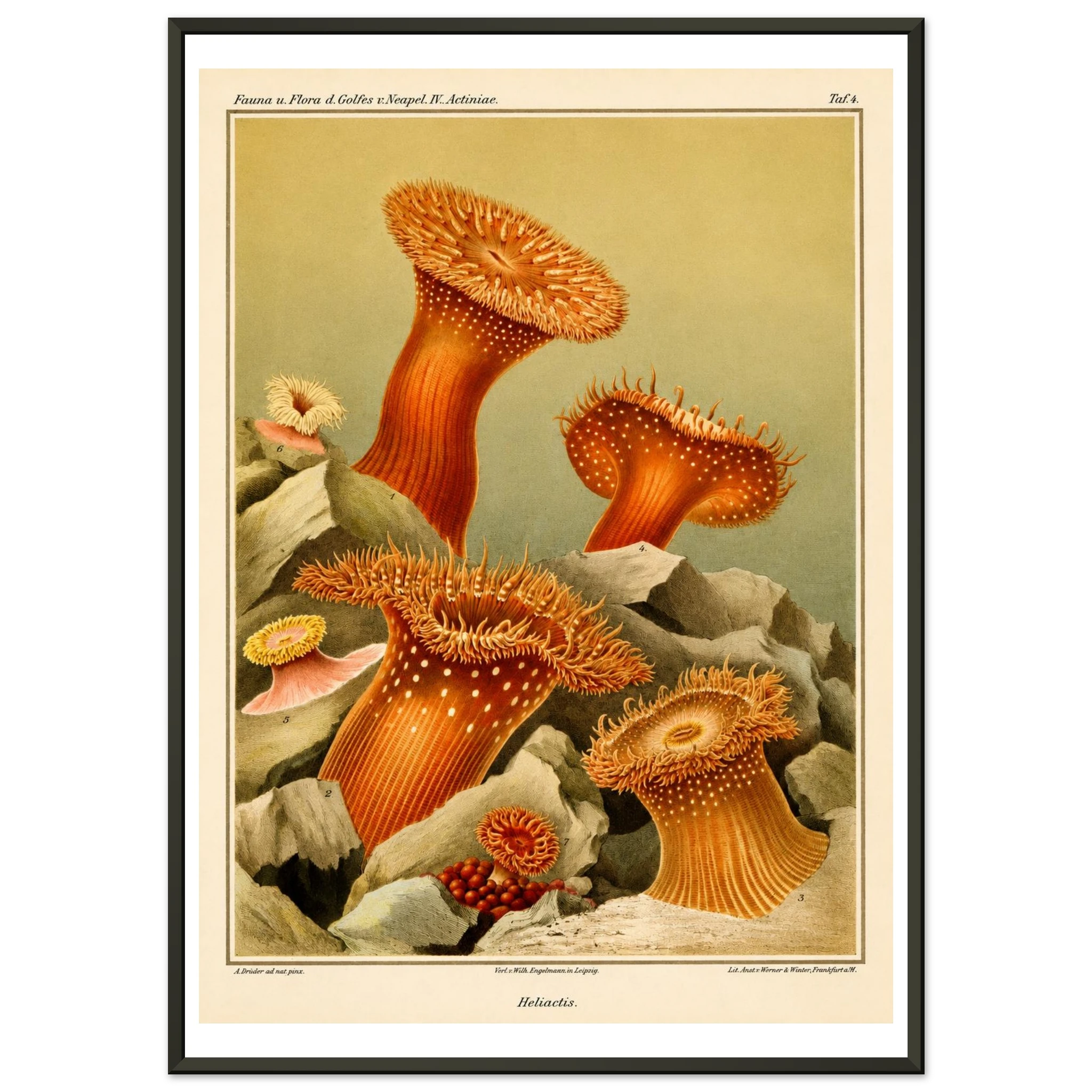 bee01829-9c0d-467e-bbdb-f99c6449f869