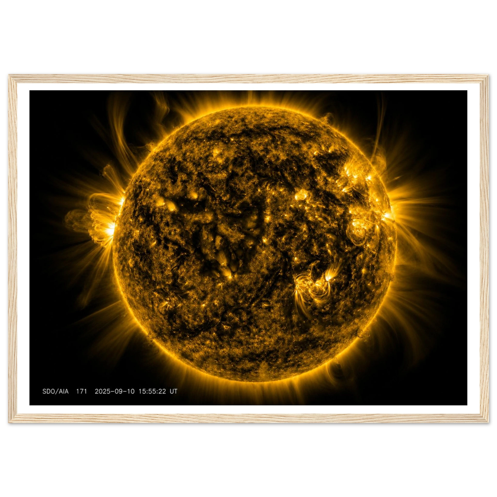 bfbf08f3-7430-4d12-bfb8-b303636ae7b6