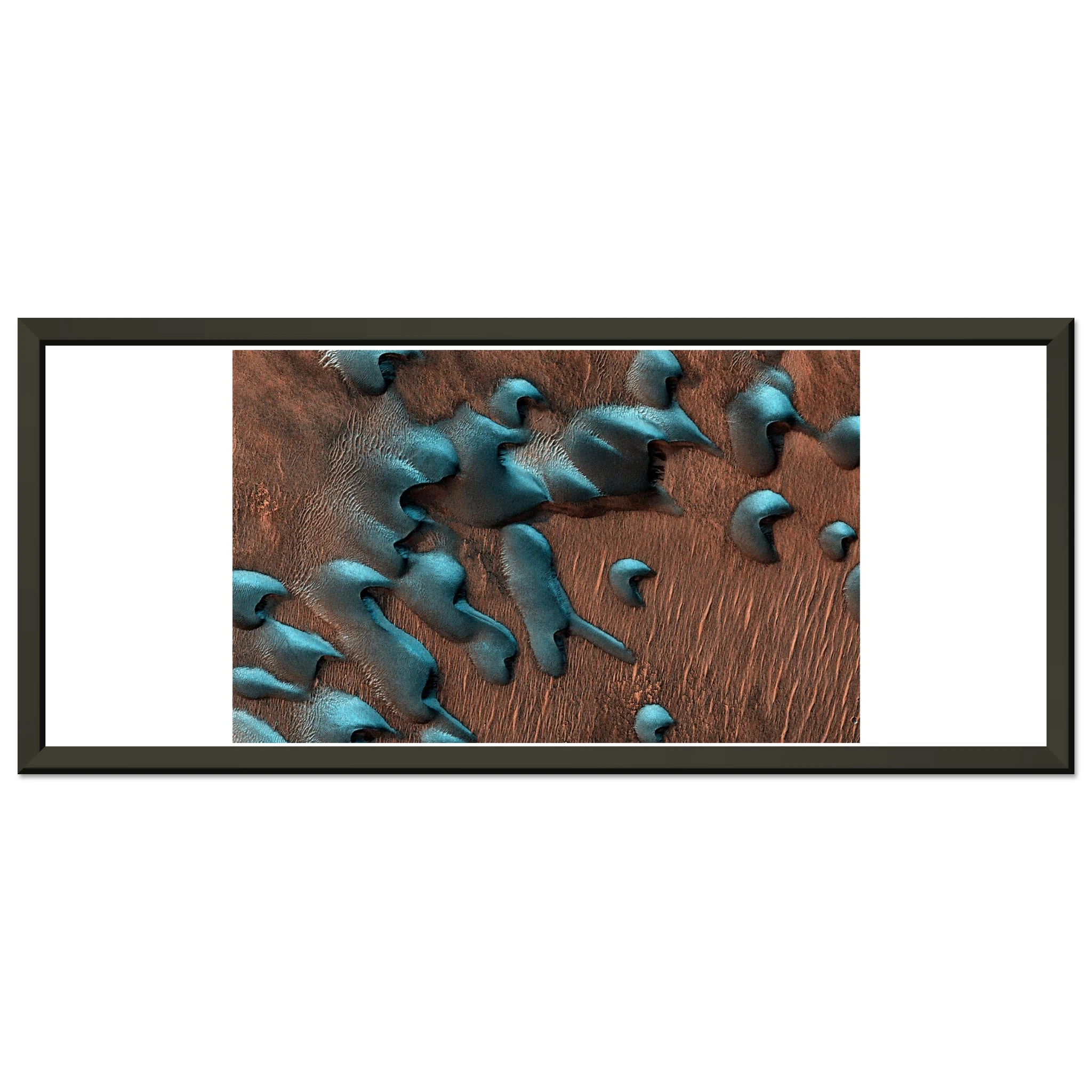 c11469f1-643b-43d7-866e-5bf7b9a4691e