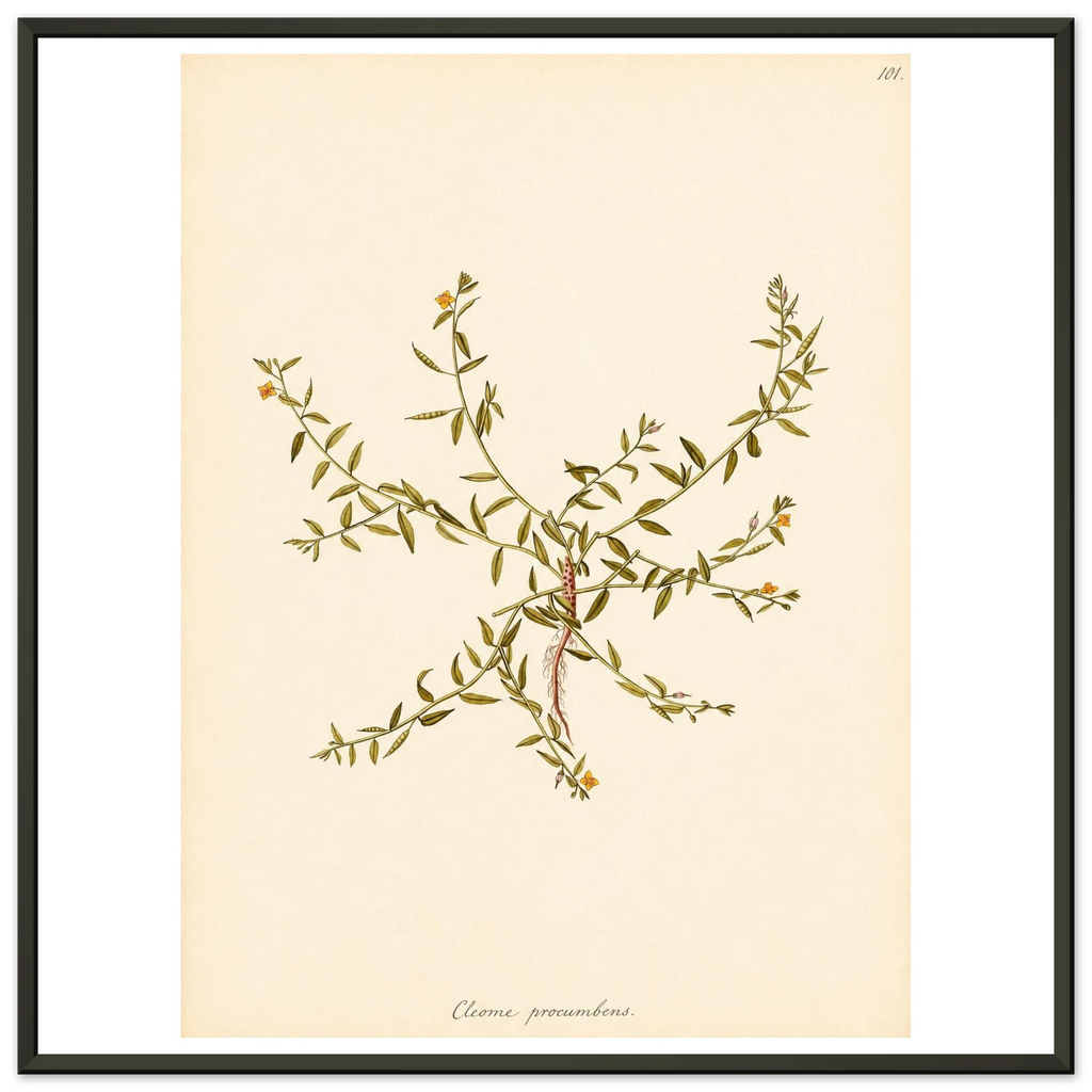 c13e0480-be2f-436a-acba-3354b5fbea05