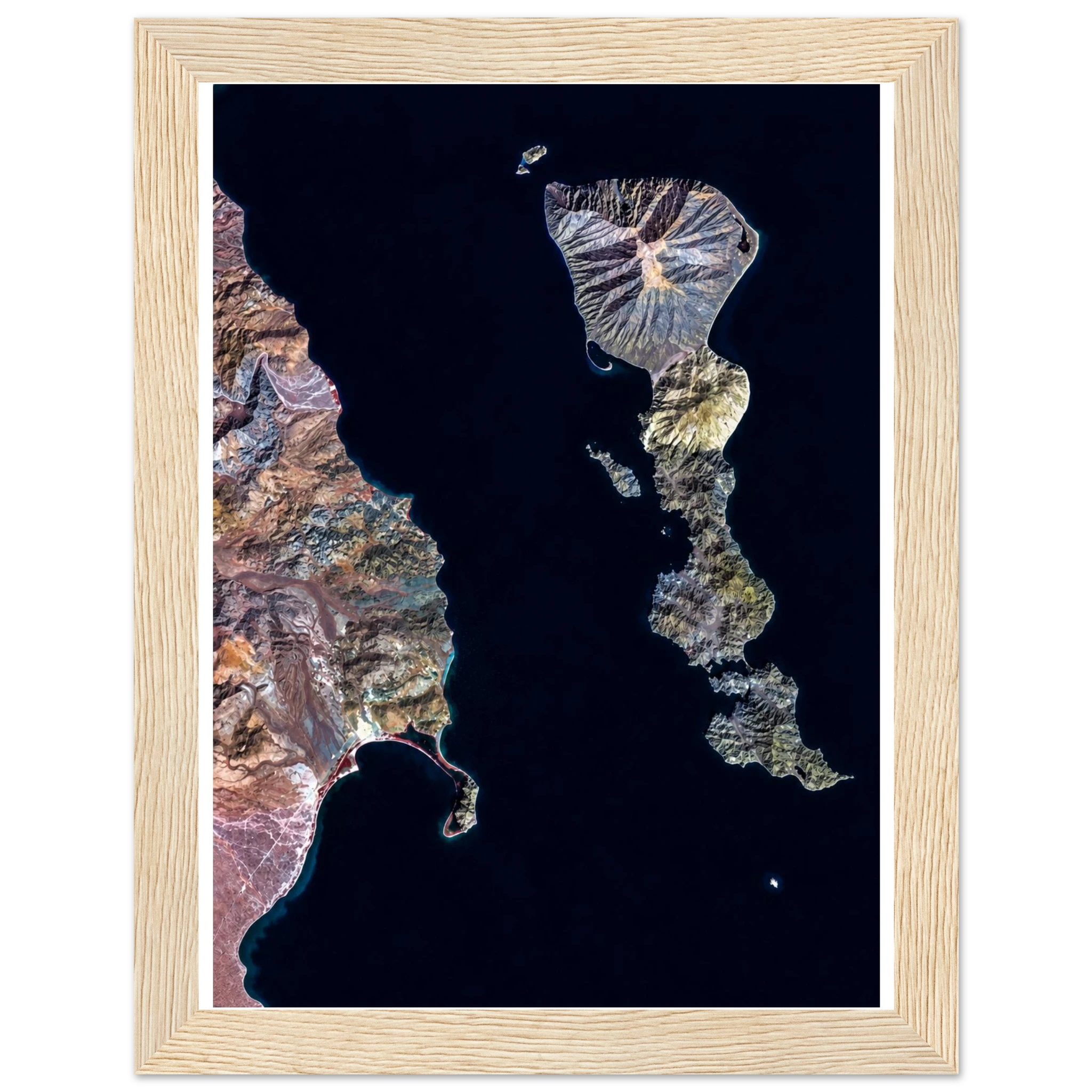 c14746f3-de8d-4c5b-a1af-6d774019f028