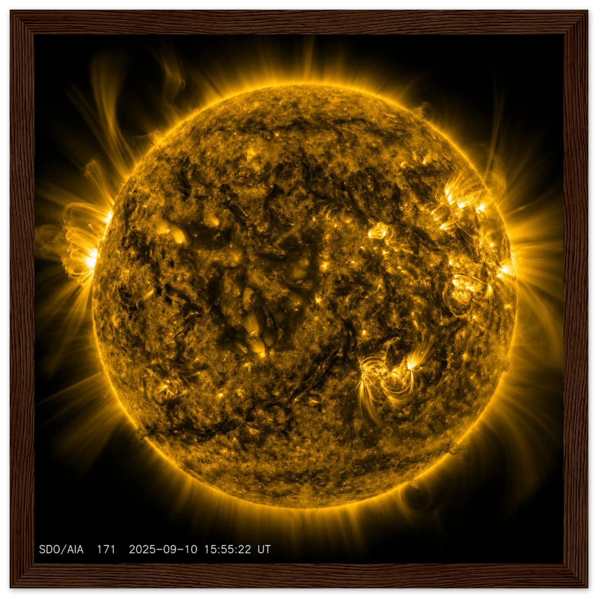 c15c3998-90fd-4a13-b1bf-41b3fde8ffe9