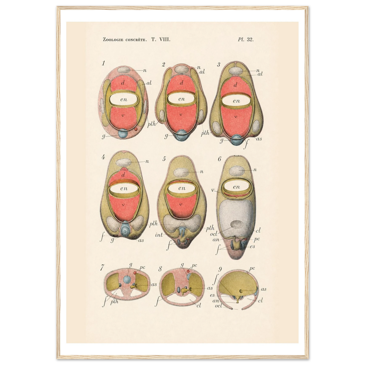 c17c1122-beee-4bae-bc9b-beefb9a9047a