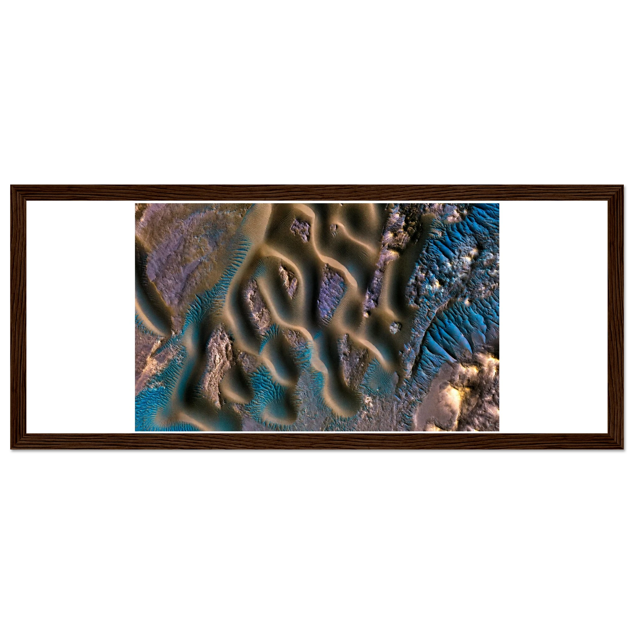c1841e79-722b-4850-bd19-368082e4269c