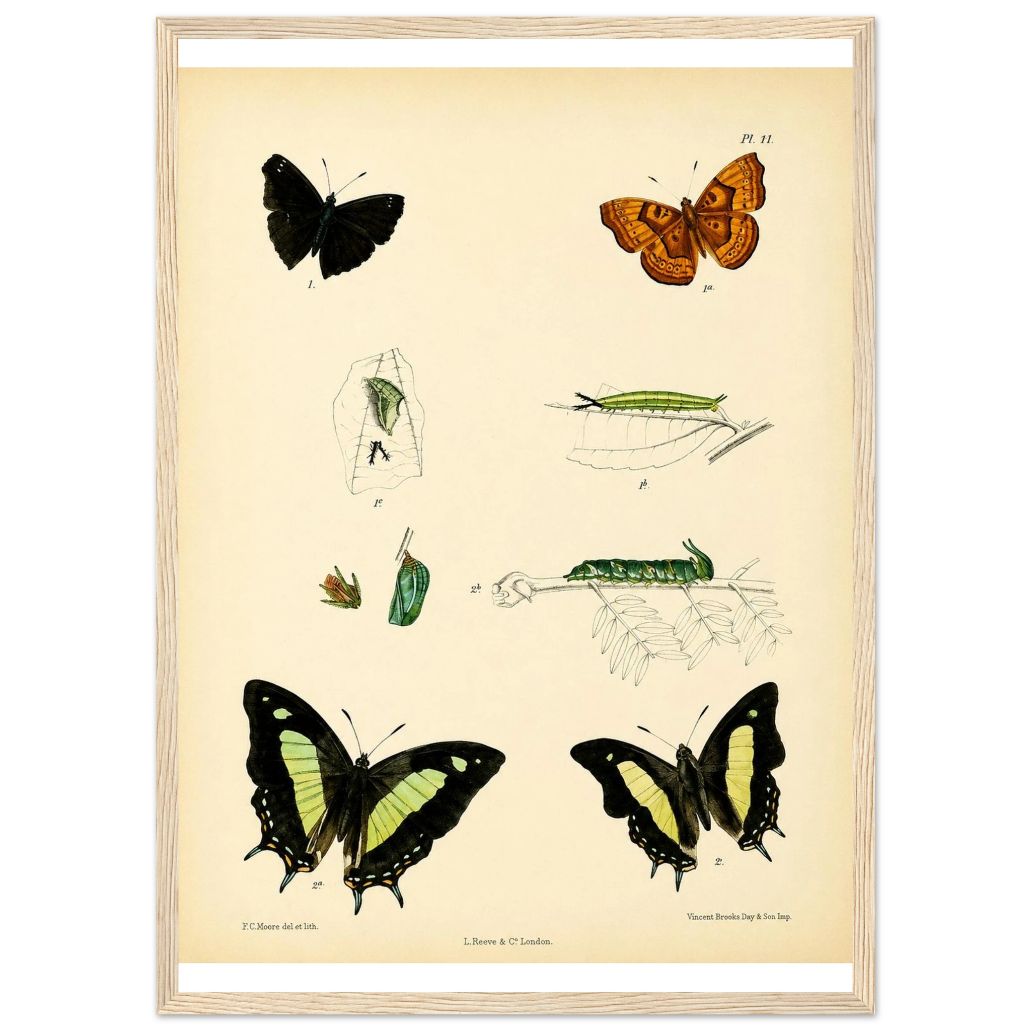 c184d53b-c790-4fde-a9f1-a033a5a23c58