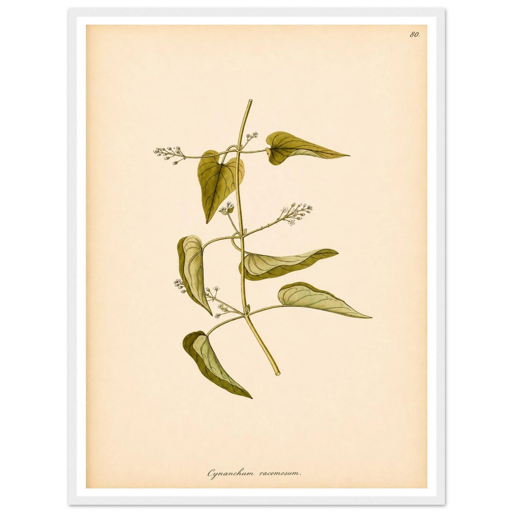 c190ebc9-79e5-4854-9c0a-a16c82b4e5c1