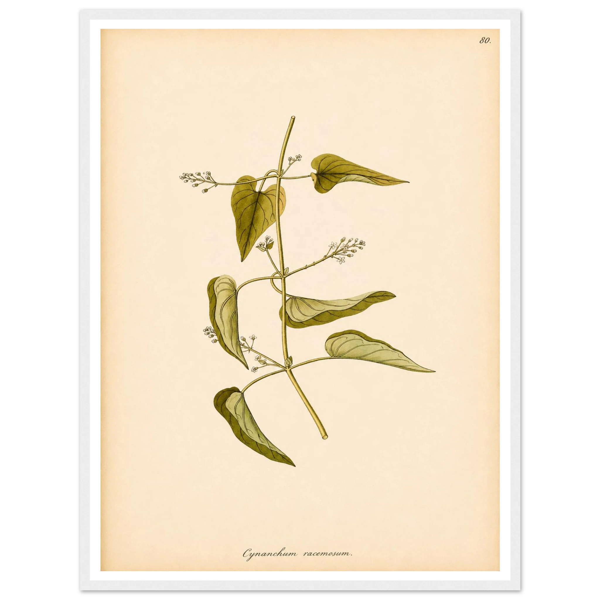 c190ebc9-79e5-4854-9c0a-a16c82b4e5c1