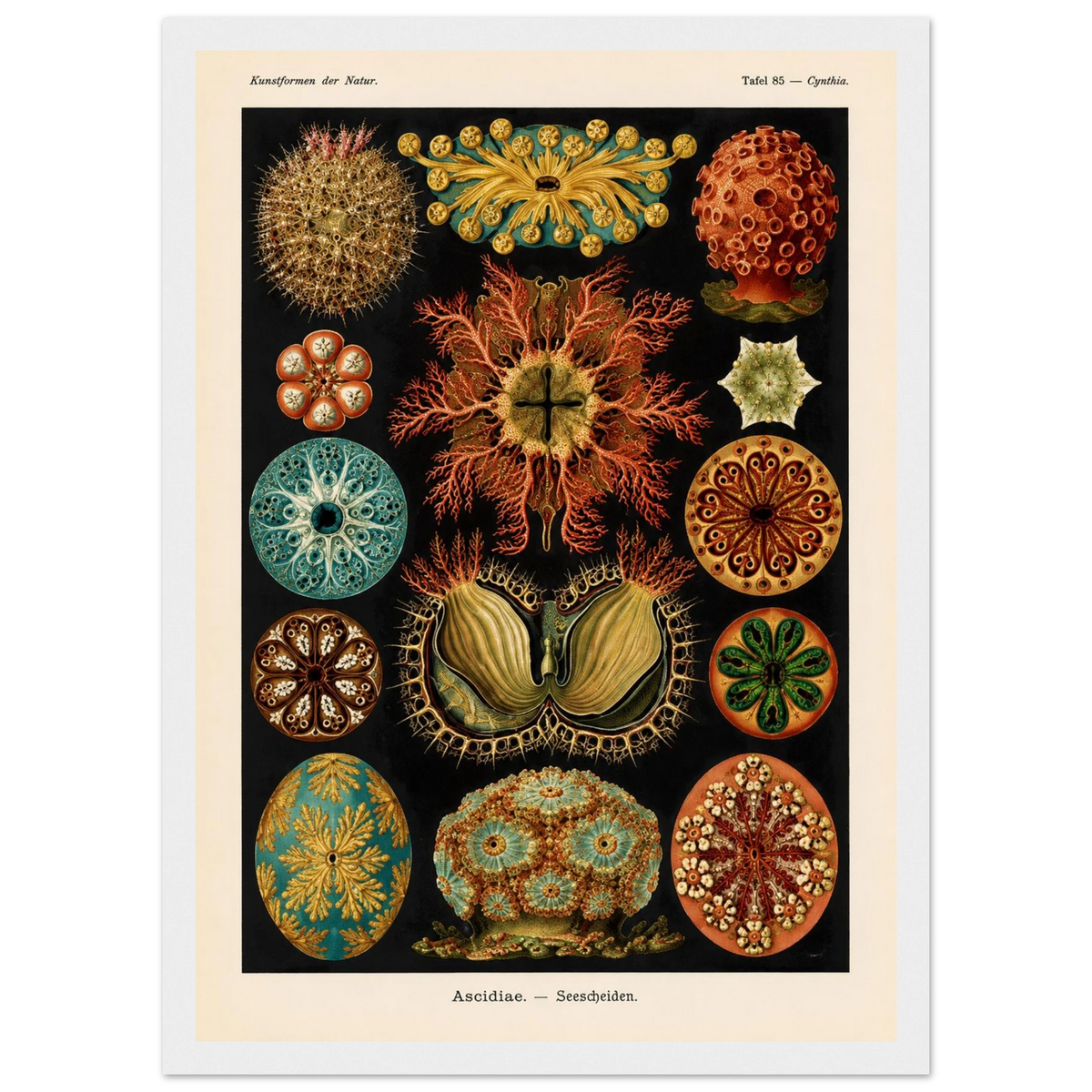 c1917476-2fbc-4349-b136-69651ce71996