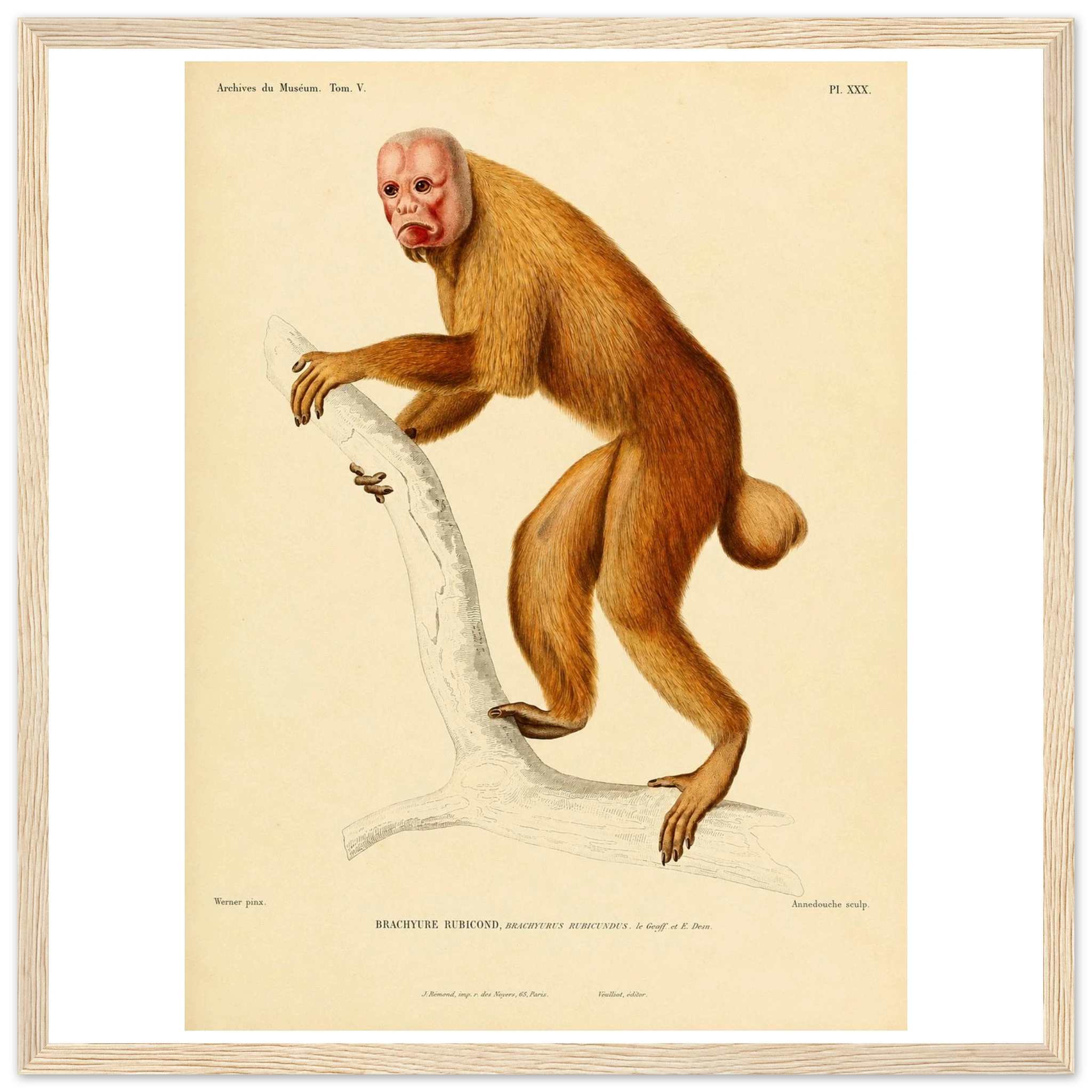 c21077c1-4c7d-48df-9622-c0766e903d7f