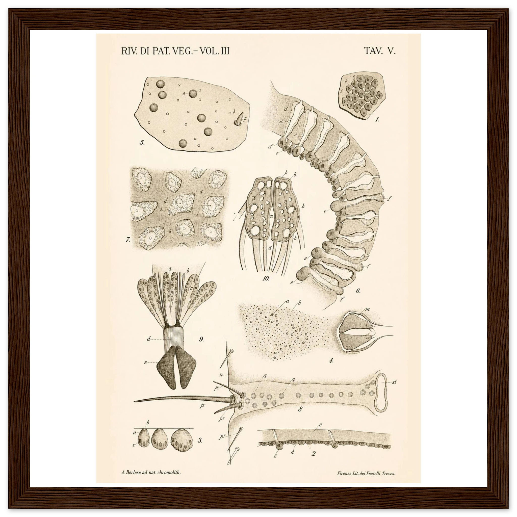 c212fee1-421b-44ba-b88b-992180cf2cc2