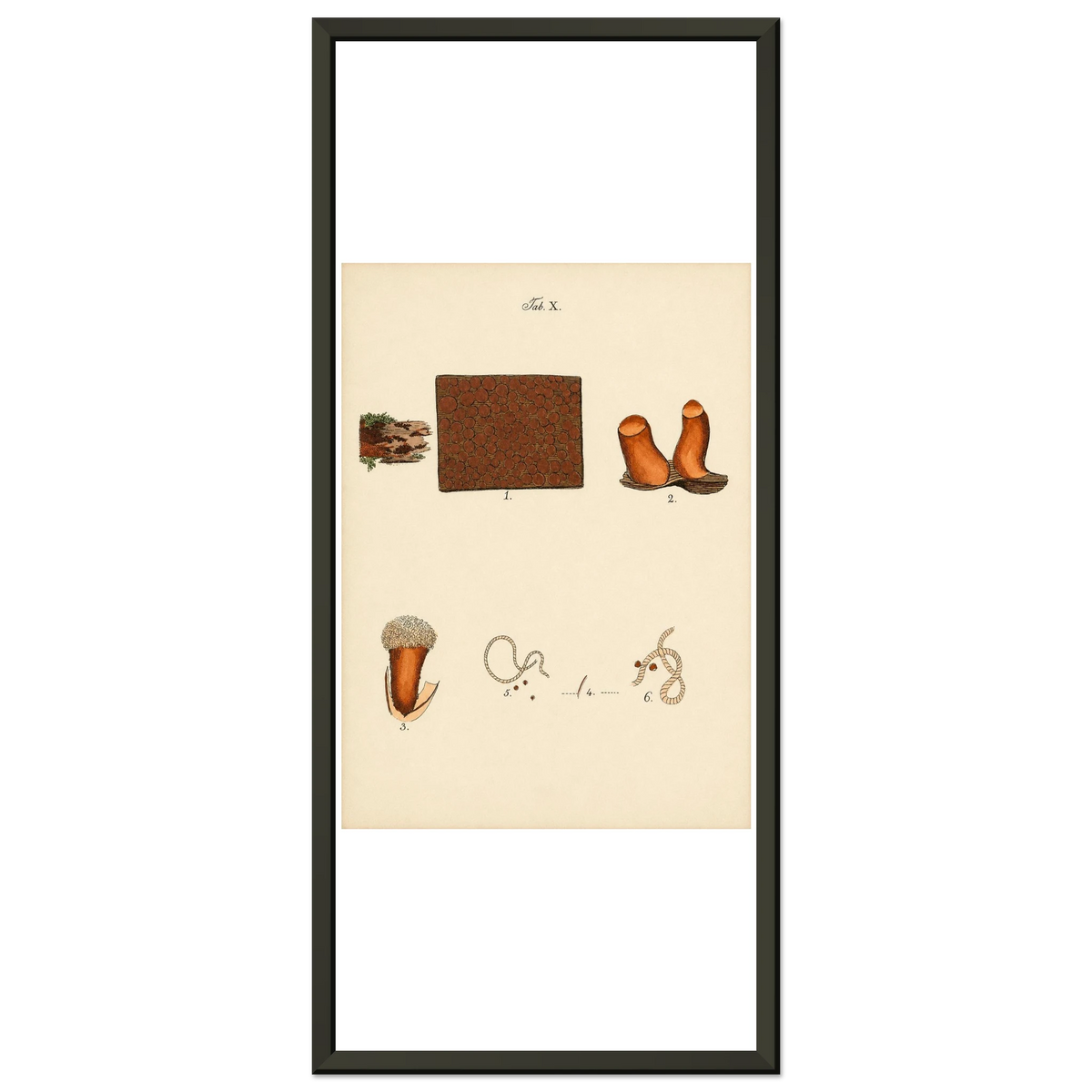 c21ef1d1-5635-45a6-ad4f-5cfba1cddf4f
