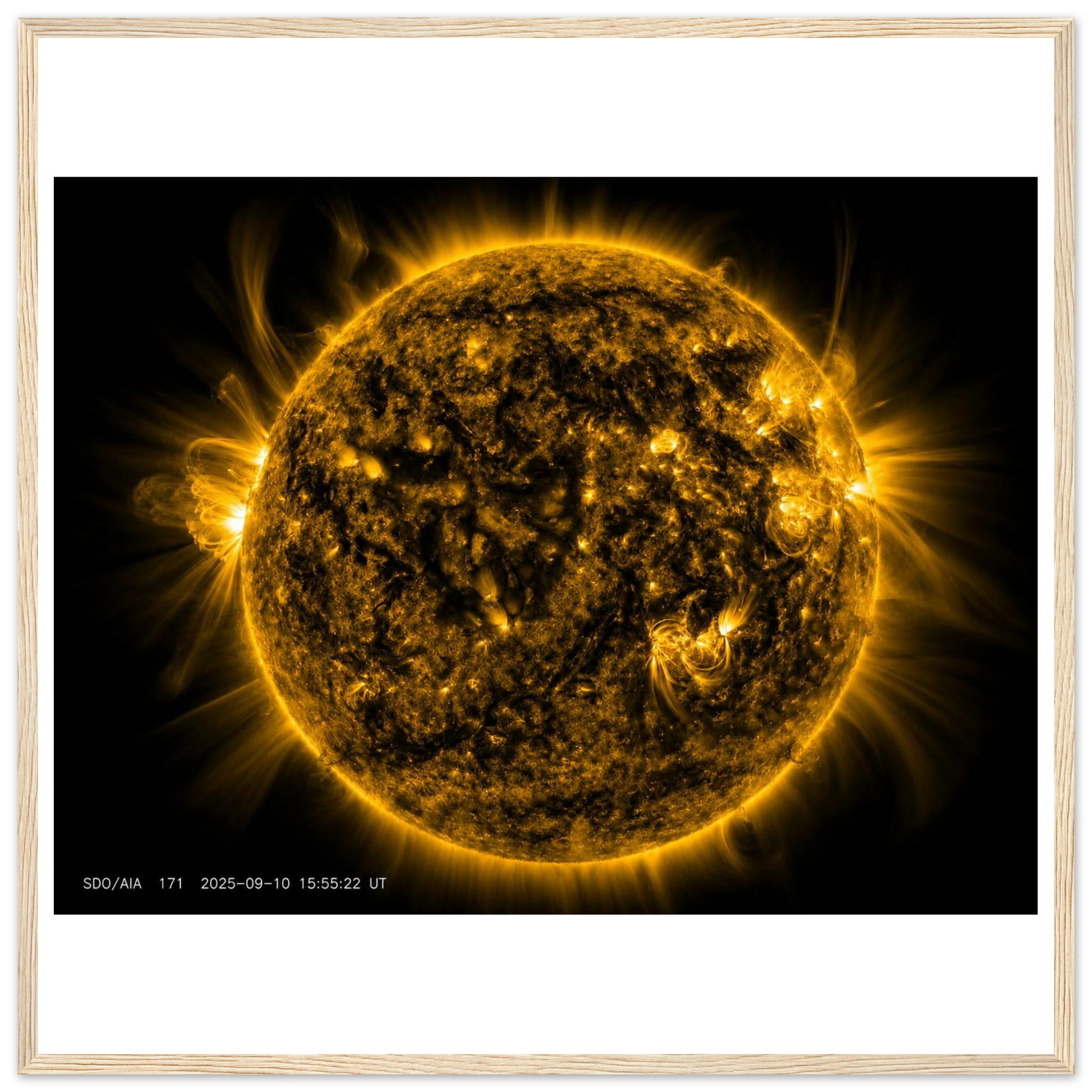 c276ab64-937b-4a8b-9bd6-09adfaed3638