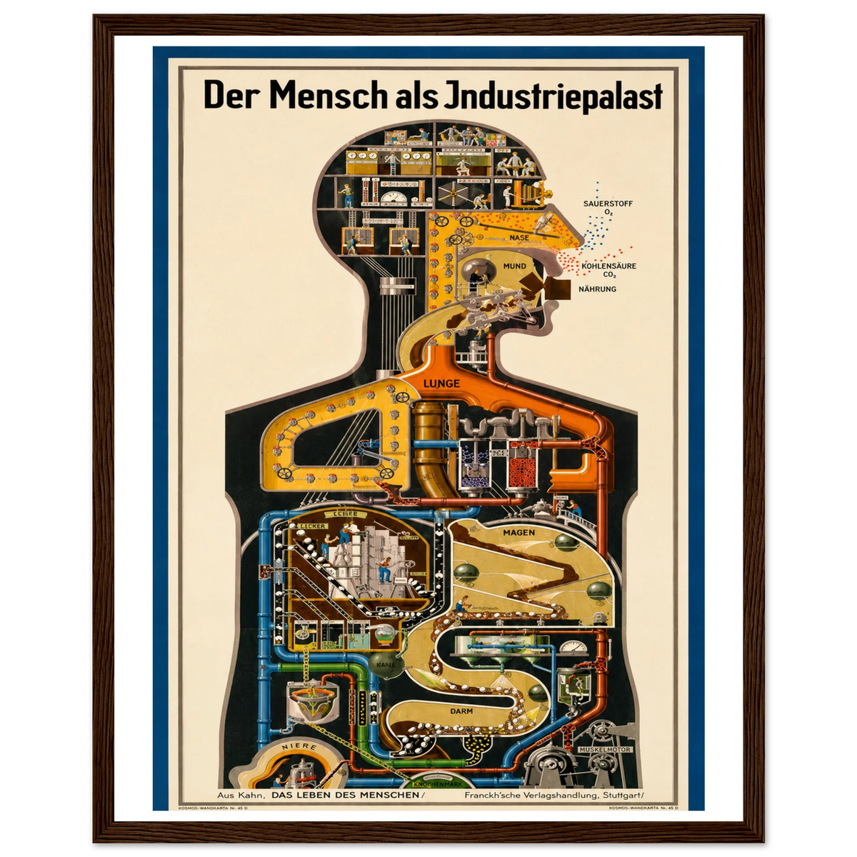 c28f77c3-f5e9-4df0-aab3-55961347f6ec