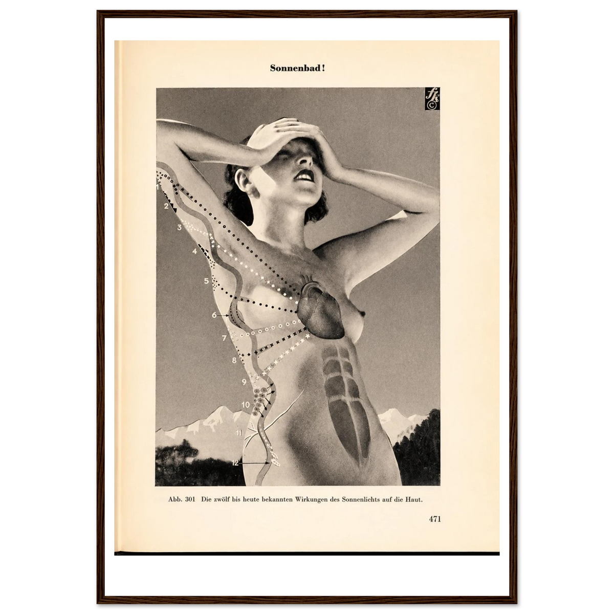 c2dd233c-f4fd-424a-ab8e-d74956dc4ef8